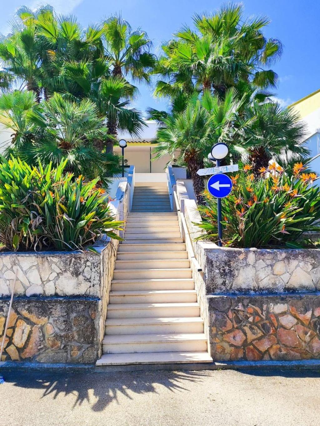 Bilocale Superior Presso Villaggio Green Park a Vieste con servizi in comune quali piscina, animazione, mini club e servizio spiaggia inclusi nel prezzo view 4