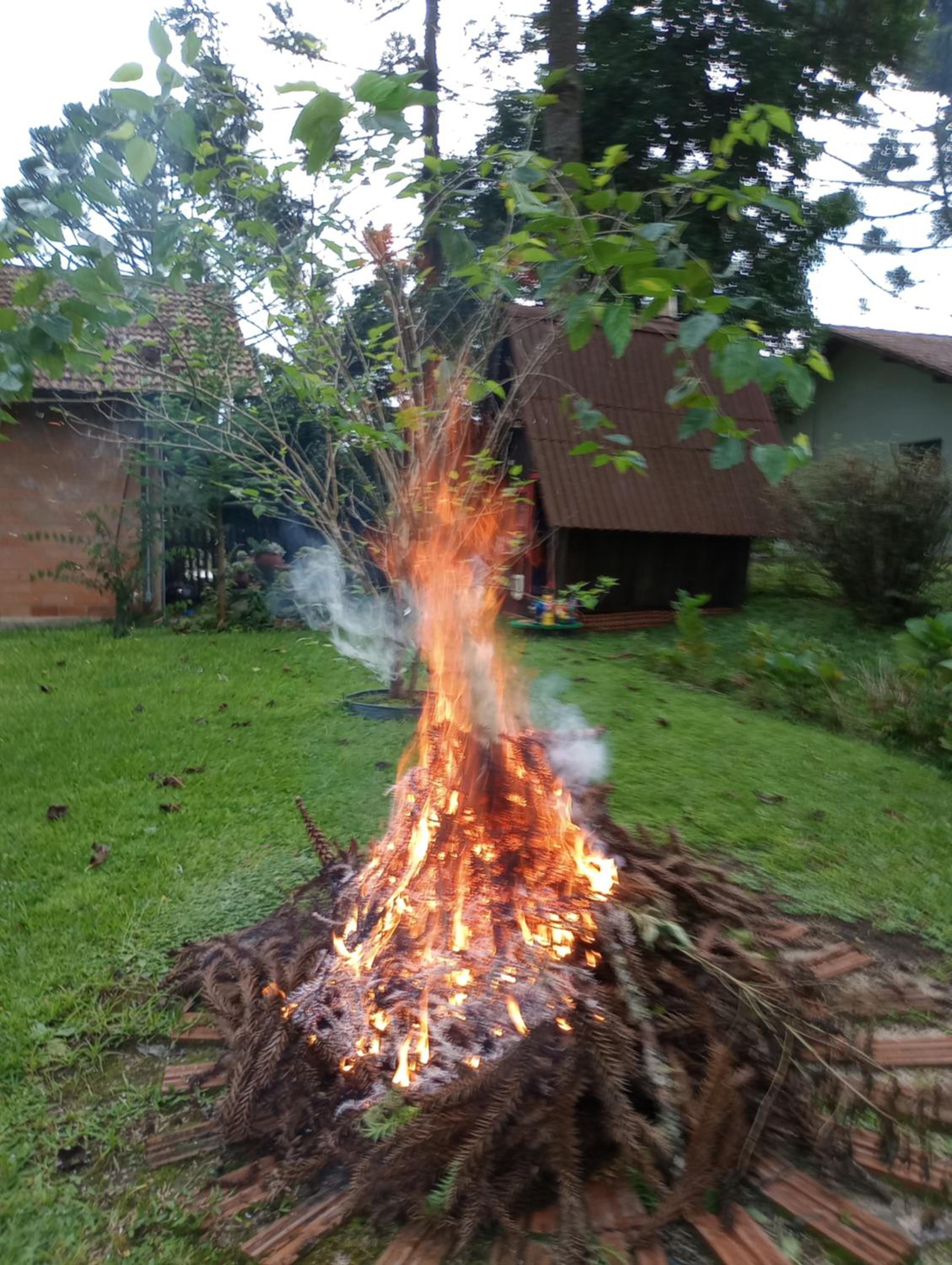 Casa de toras