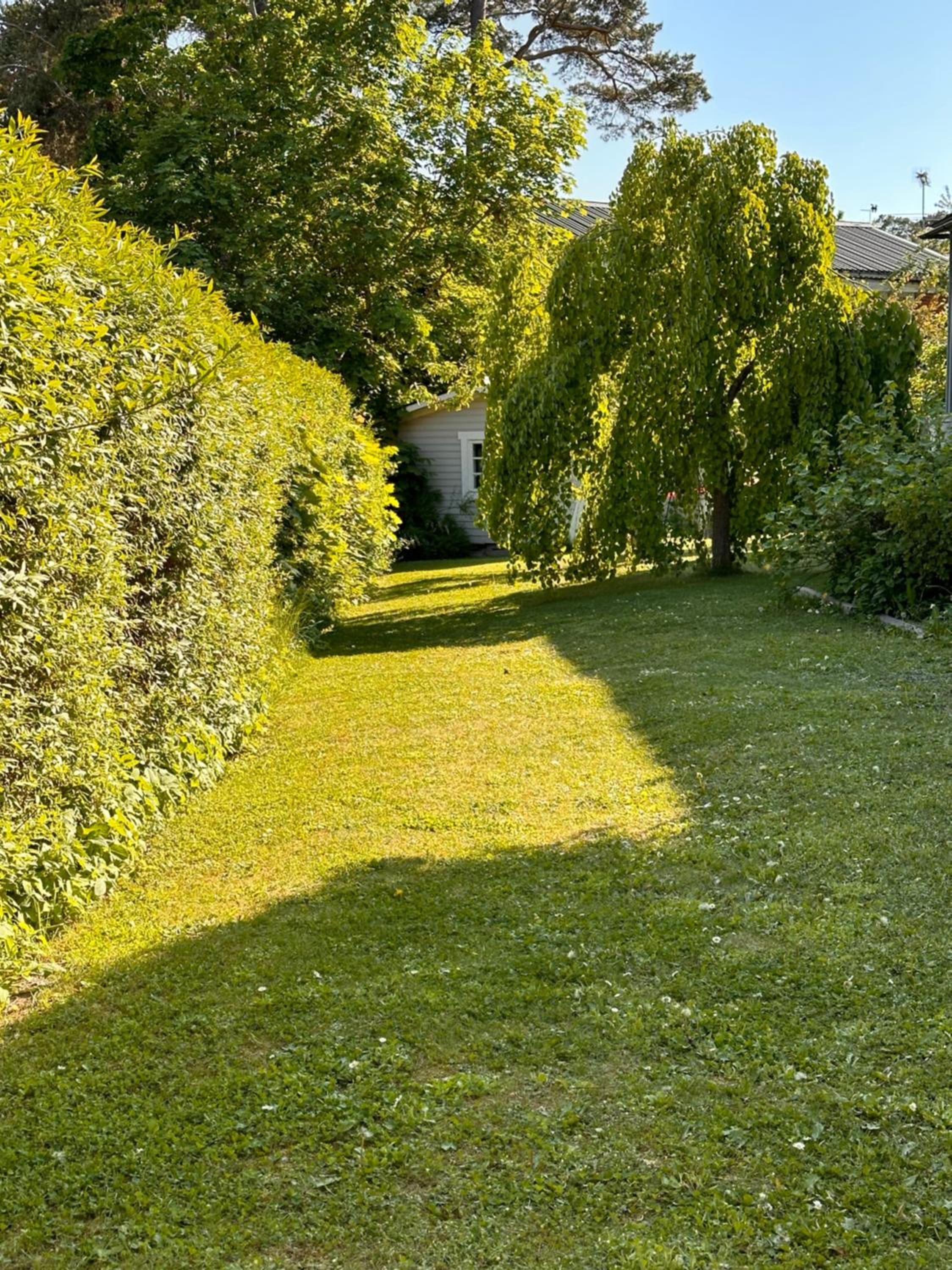Kojan Mini villa eget boende läs vidare