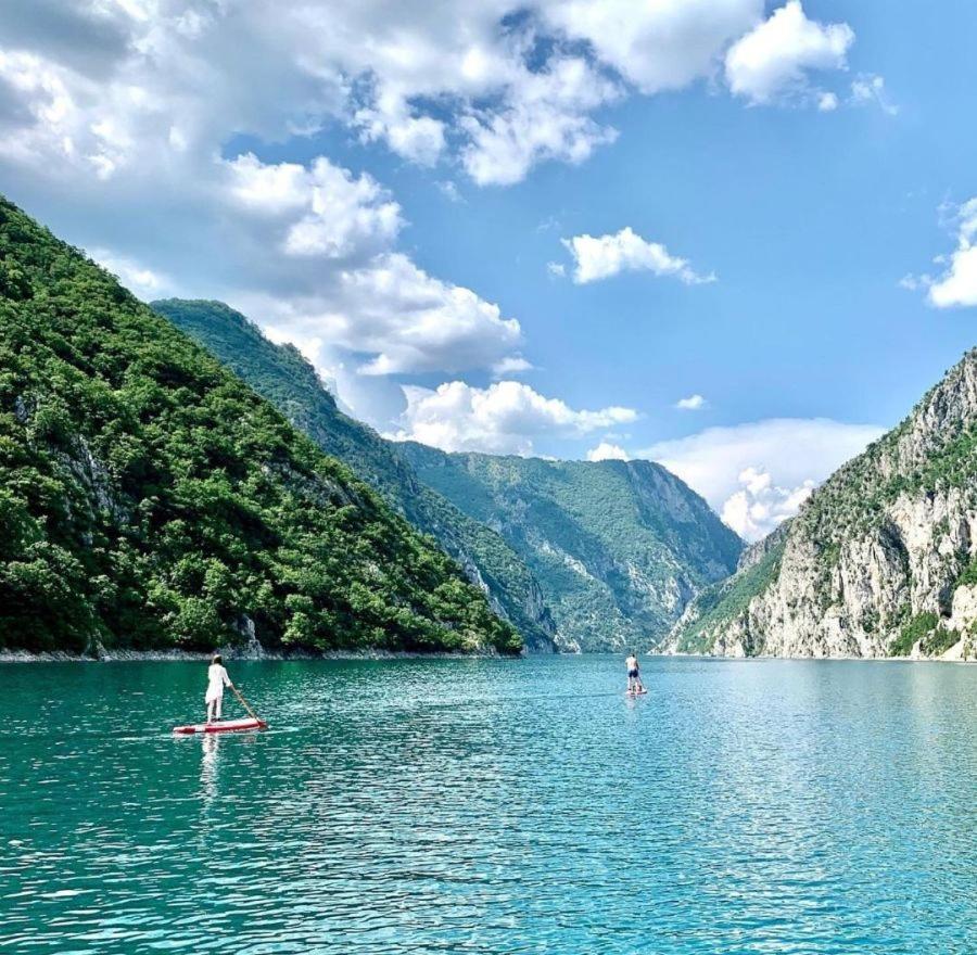 Nature Piva Lake view 4