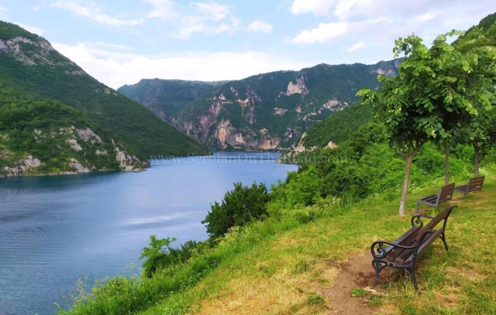 Nature Piva Lake view 5
