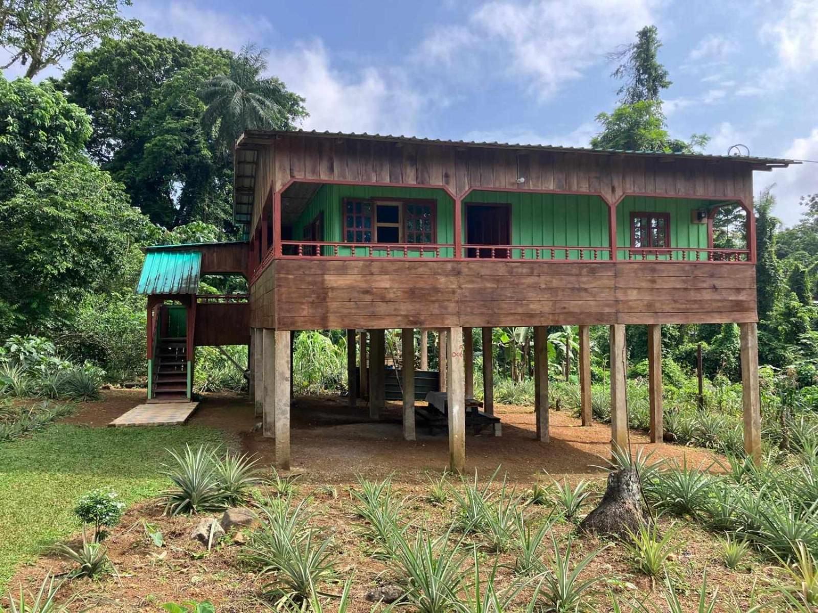 Casas Salomão view 5