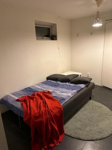 Small Comfortable Home view 3