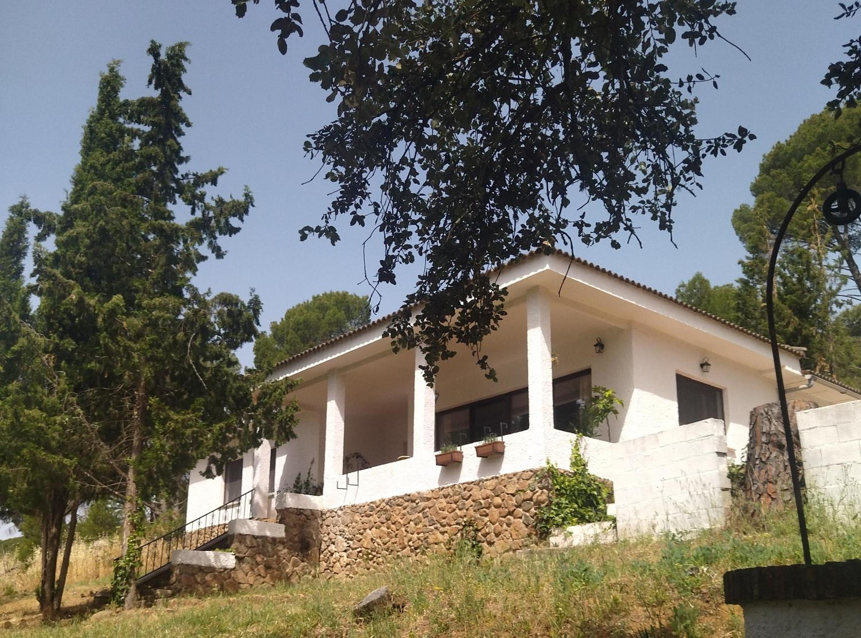 Bonita casa blanca en el bosque. view 2