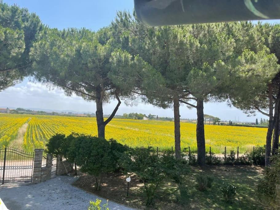 Agriturismo I GRANAI