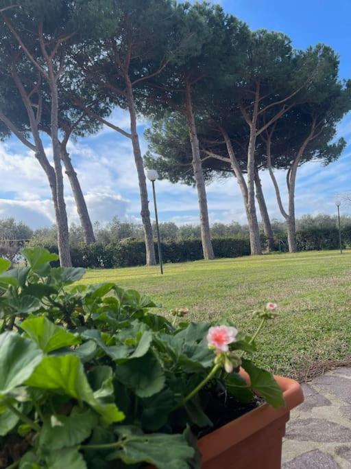 Agriturismo I GRANAI
