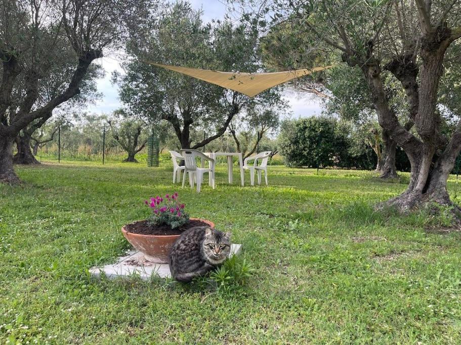 Agriturismo I GRANAI