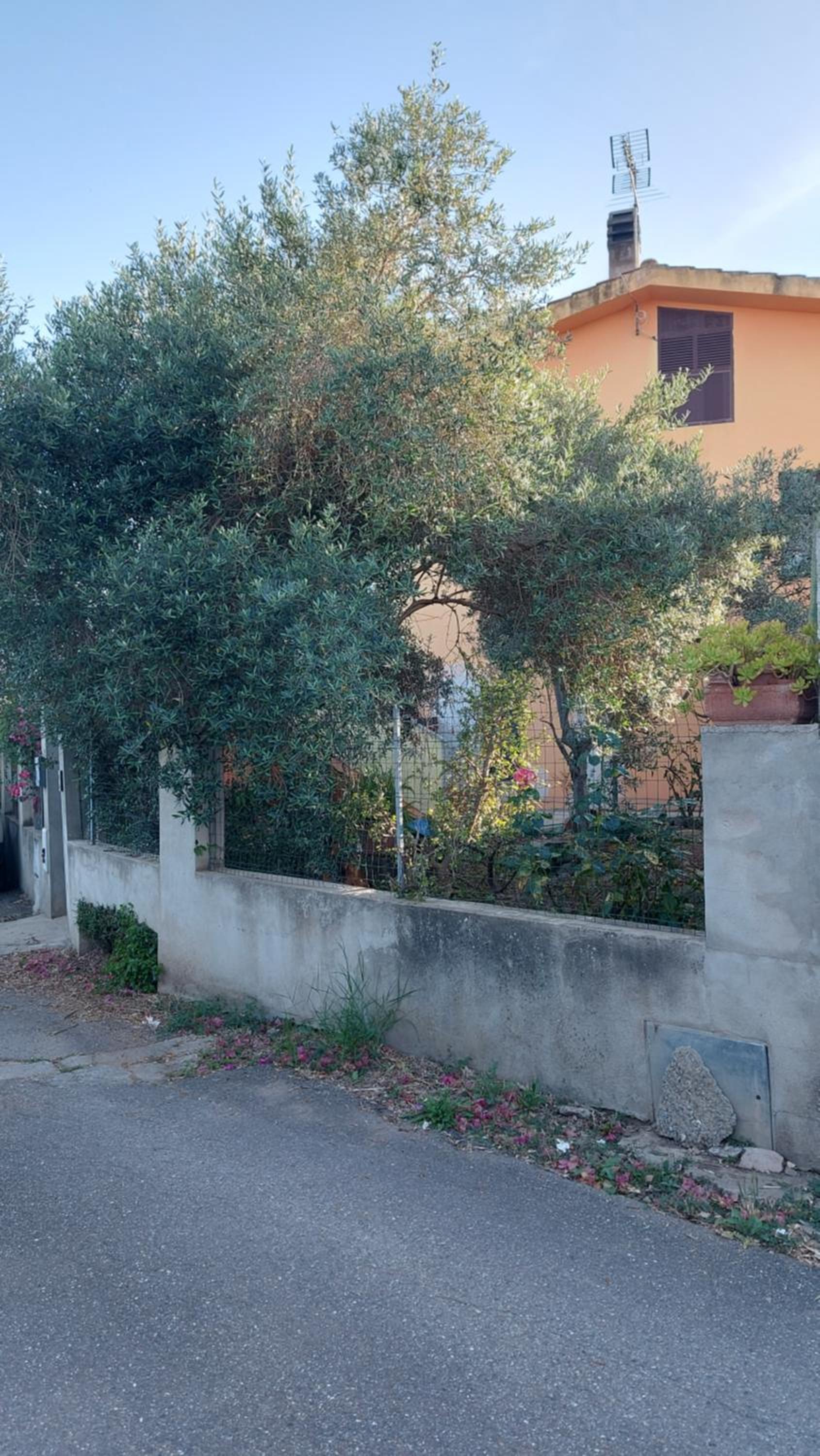 Casa Vacanza Da Gabry view 4