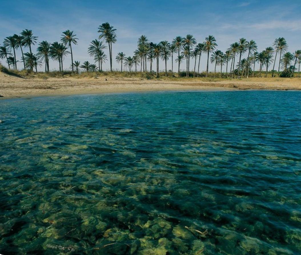 Red Sea Rent Home La veleta Torrevieja ALICANTE