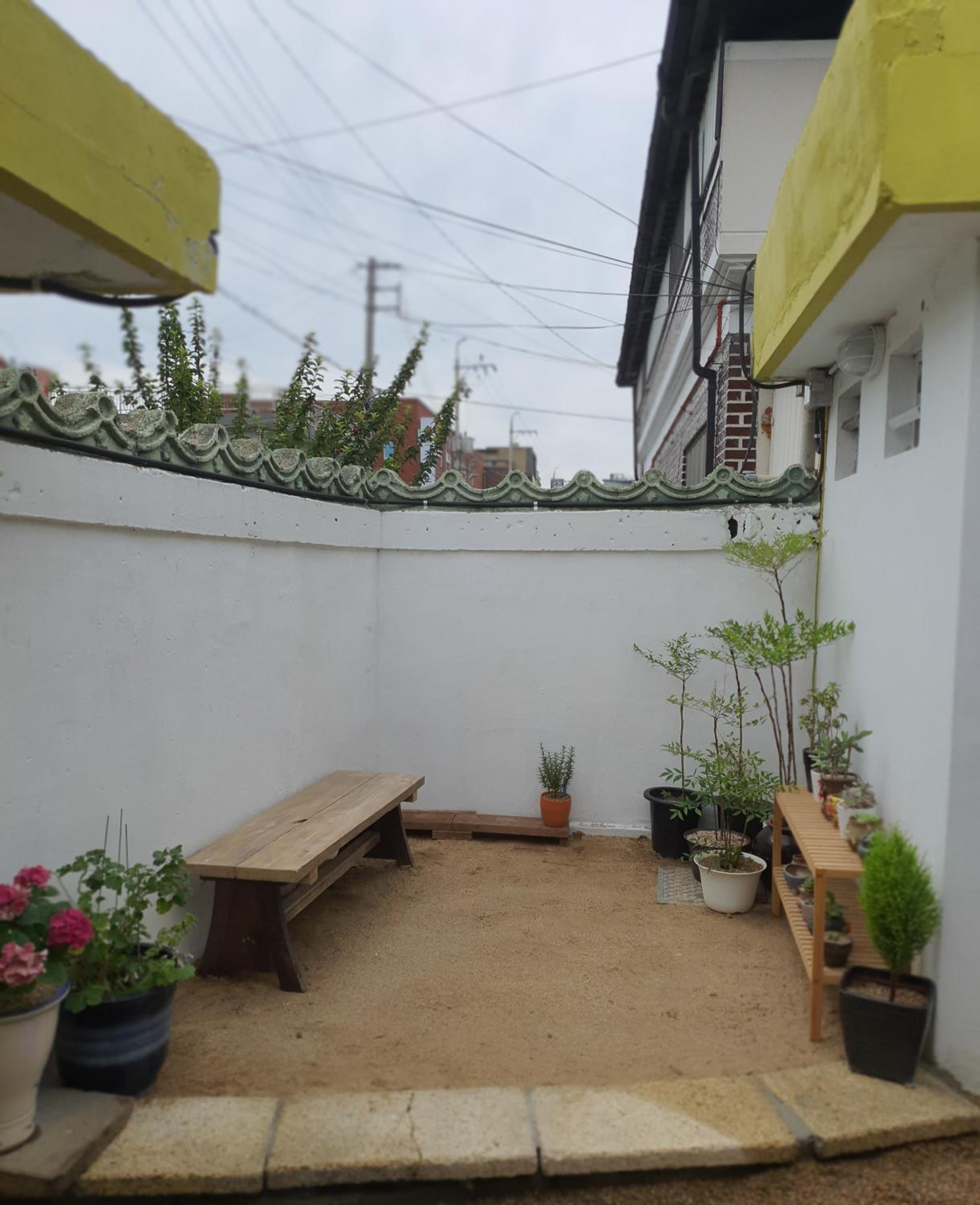 Photo 43