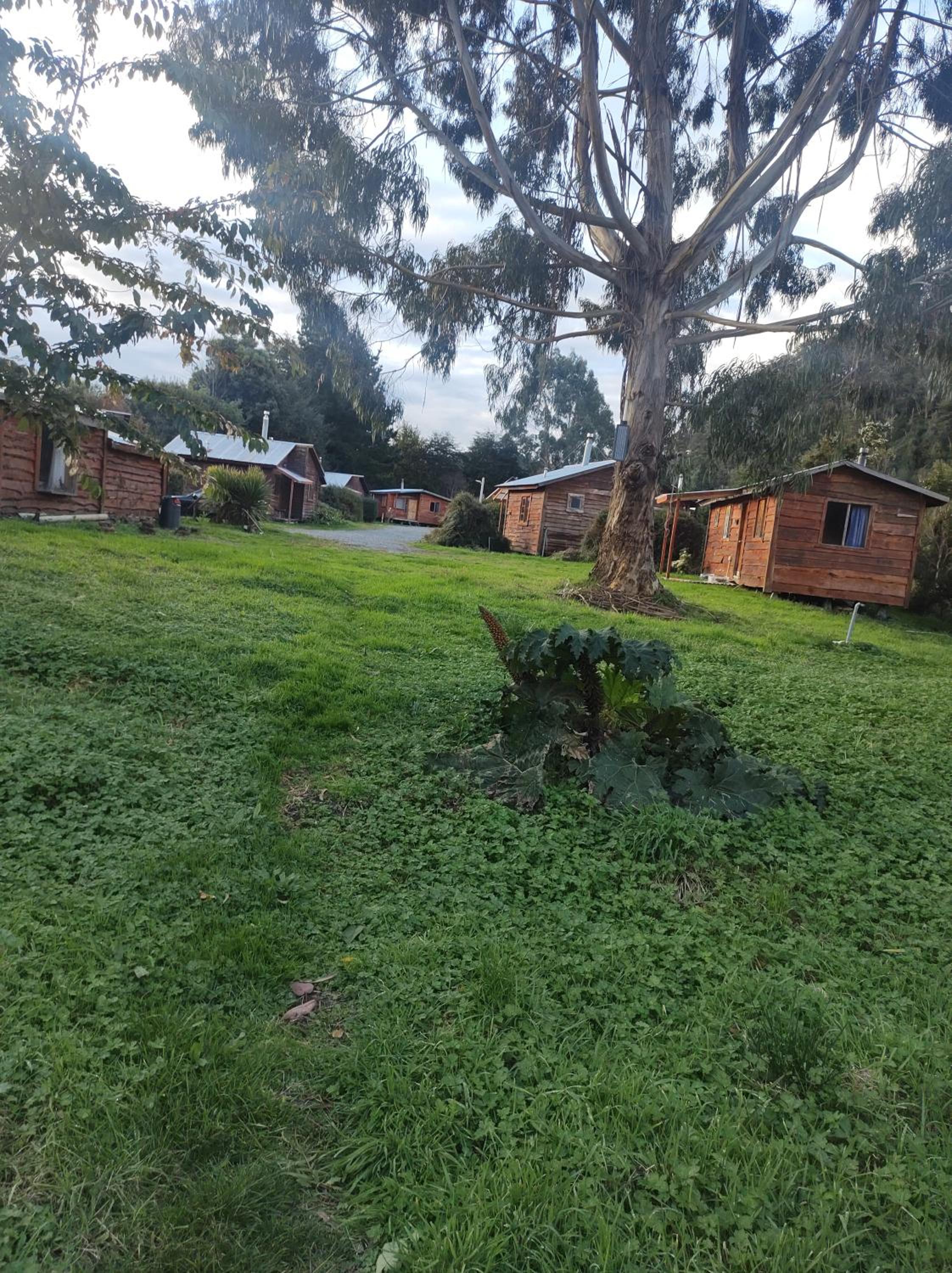 Cabanas Mandala Chamiza