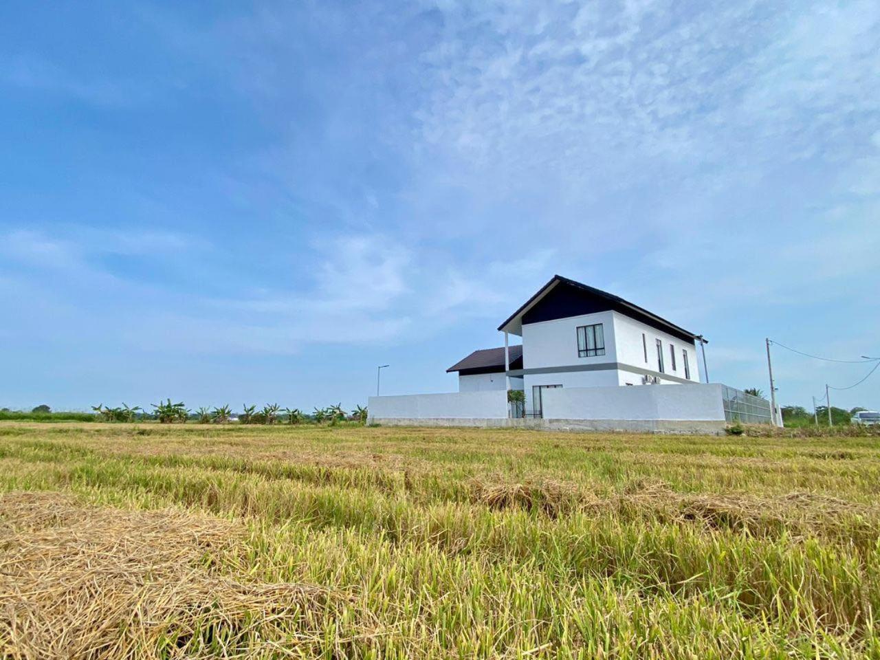 Rumah Burong - A home in a lush paddy field photo 1