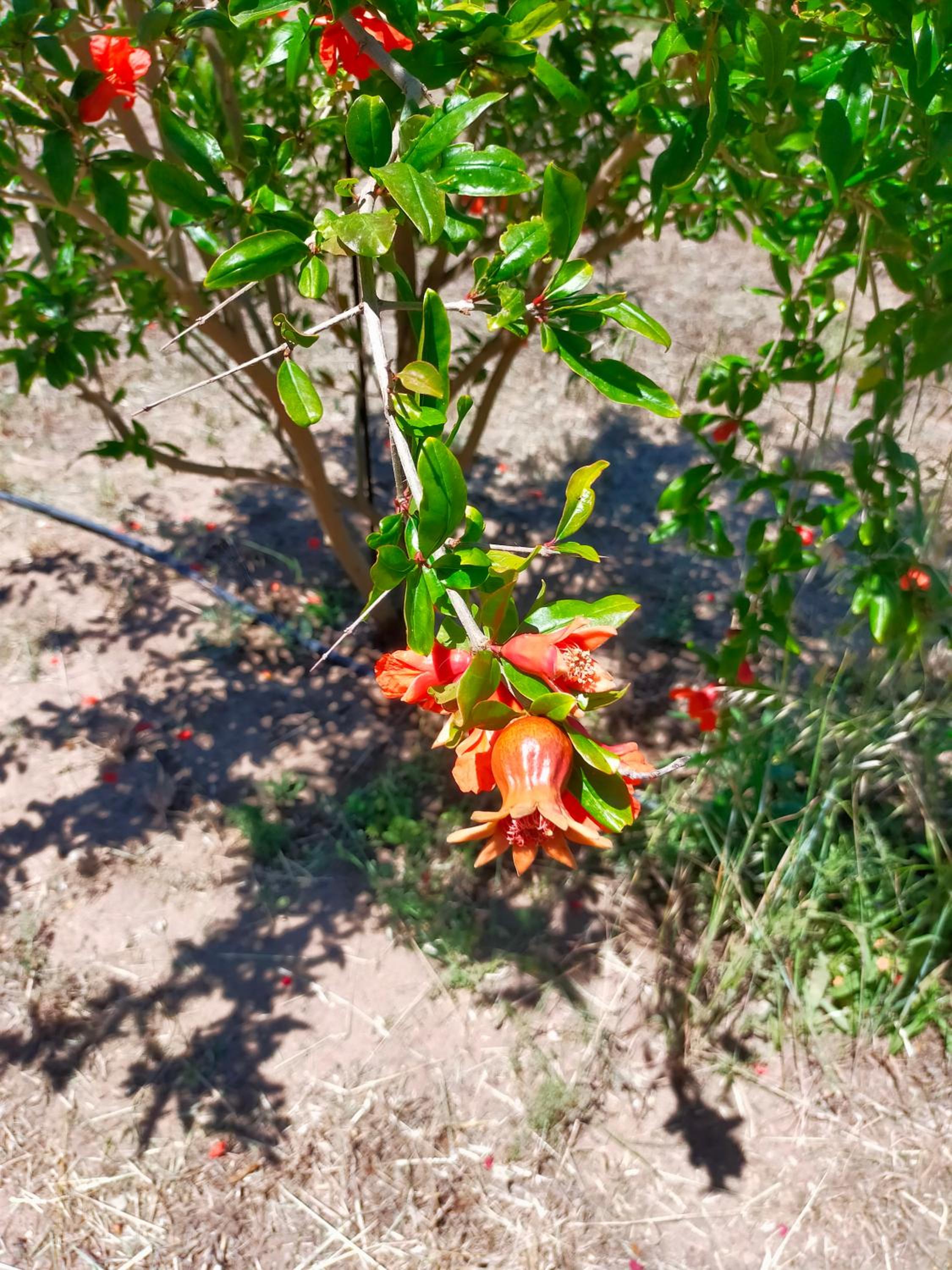 Photo 22
