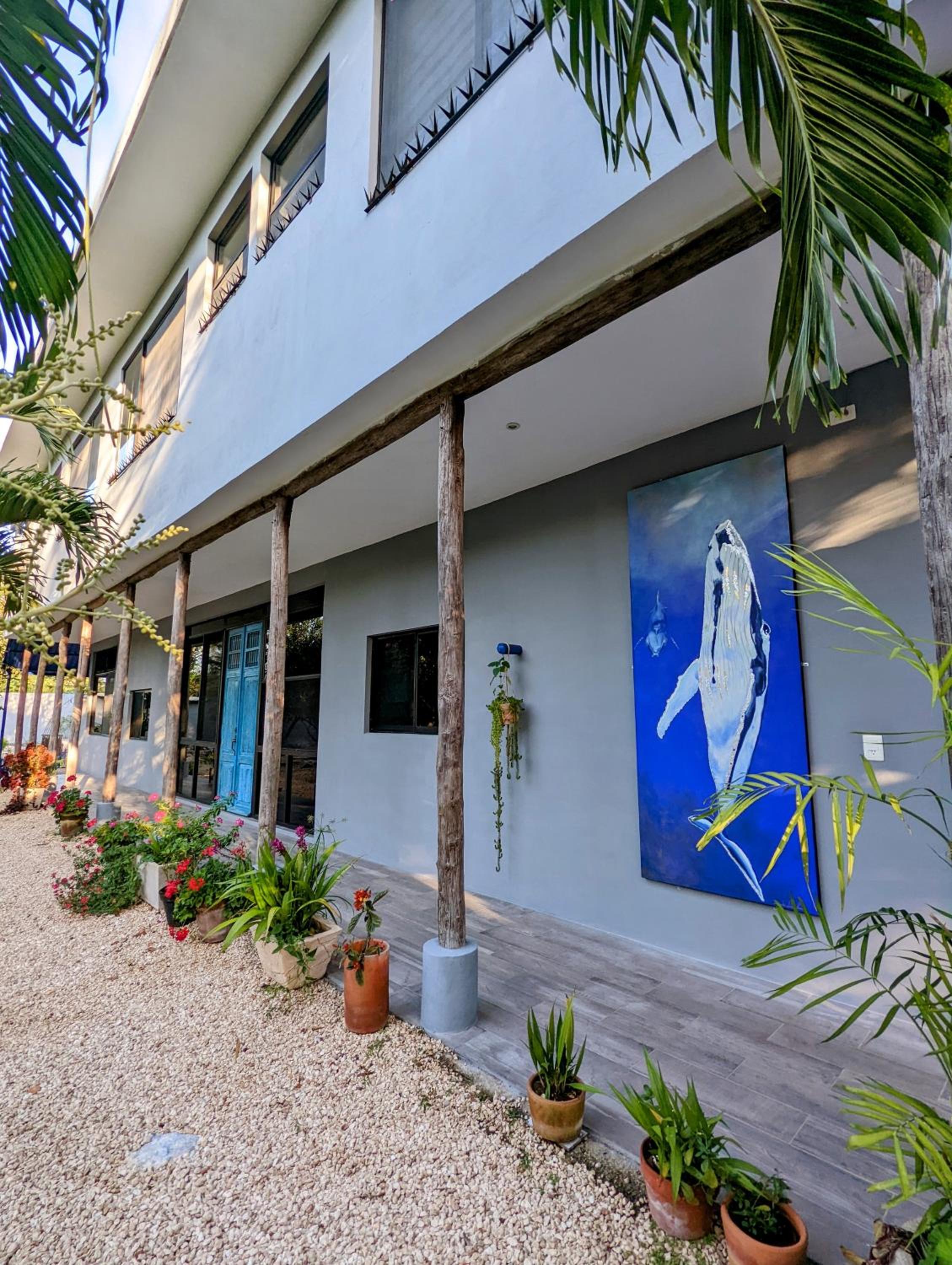 Hotel The Blue Eco Lodge - Image 1