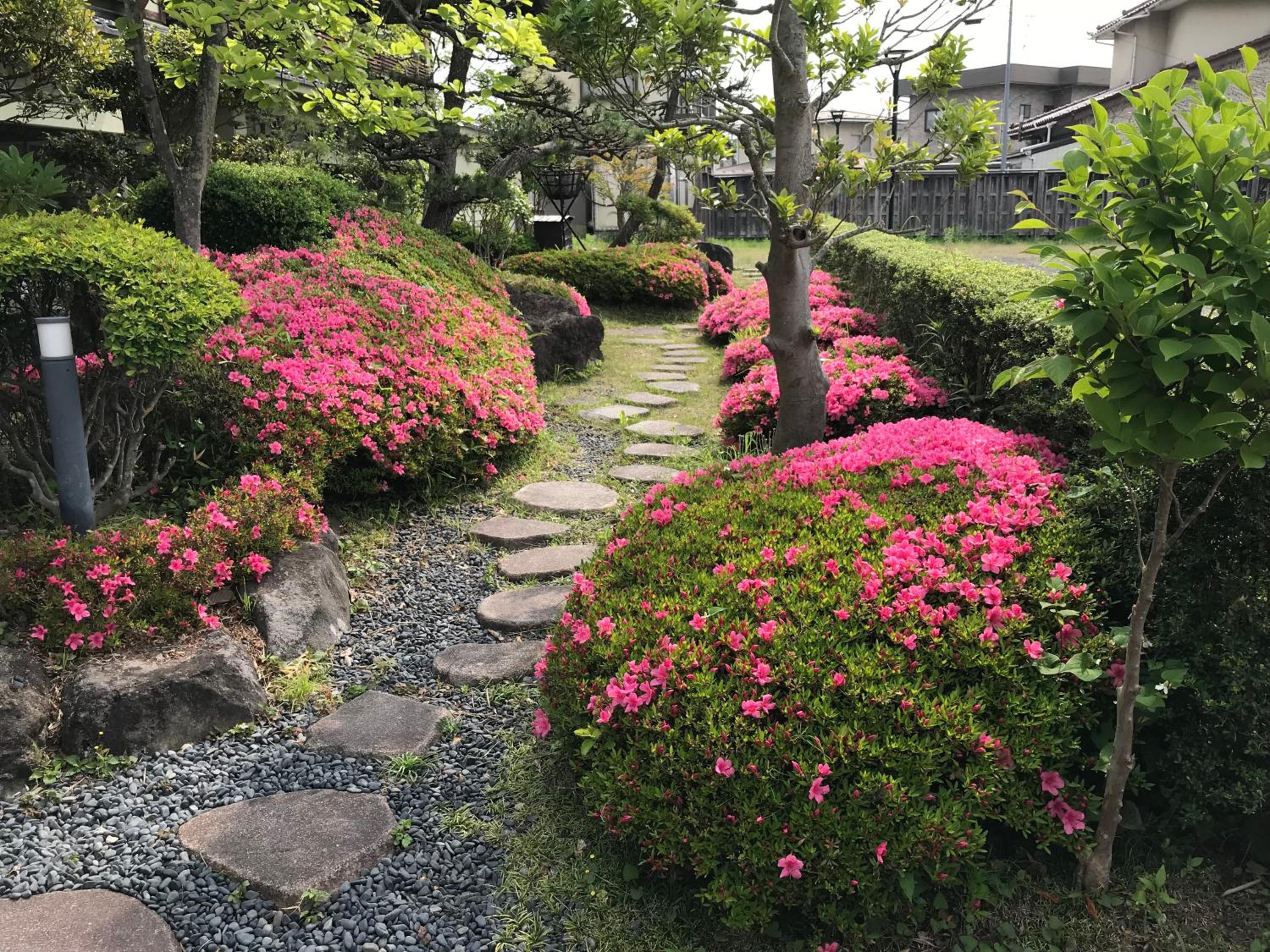Photo 28