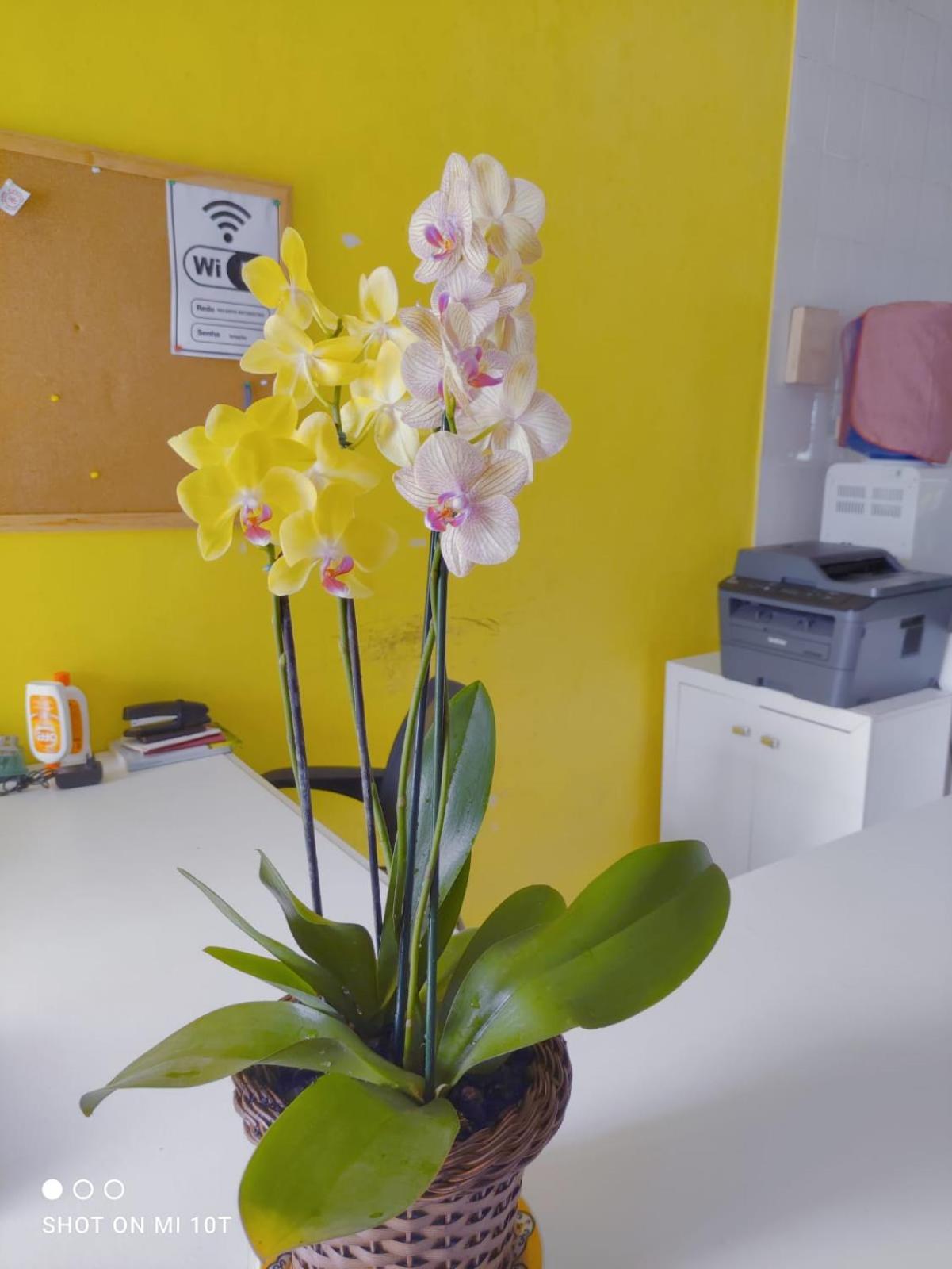 Pousada Renovo Beija-flor Espaço Terapêutico