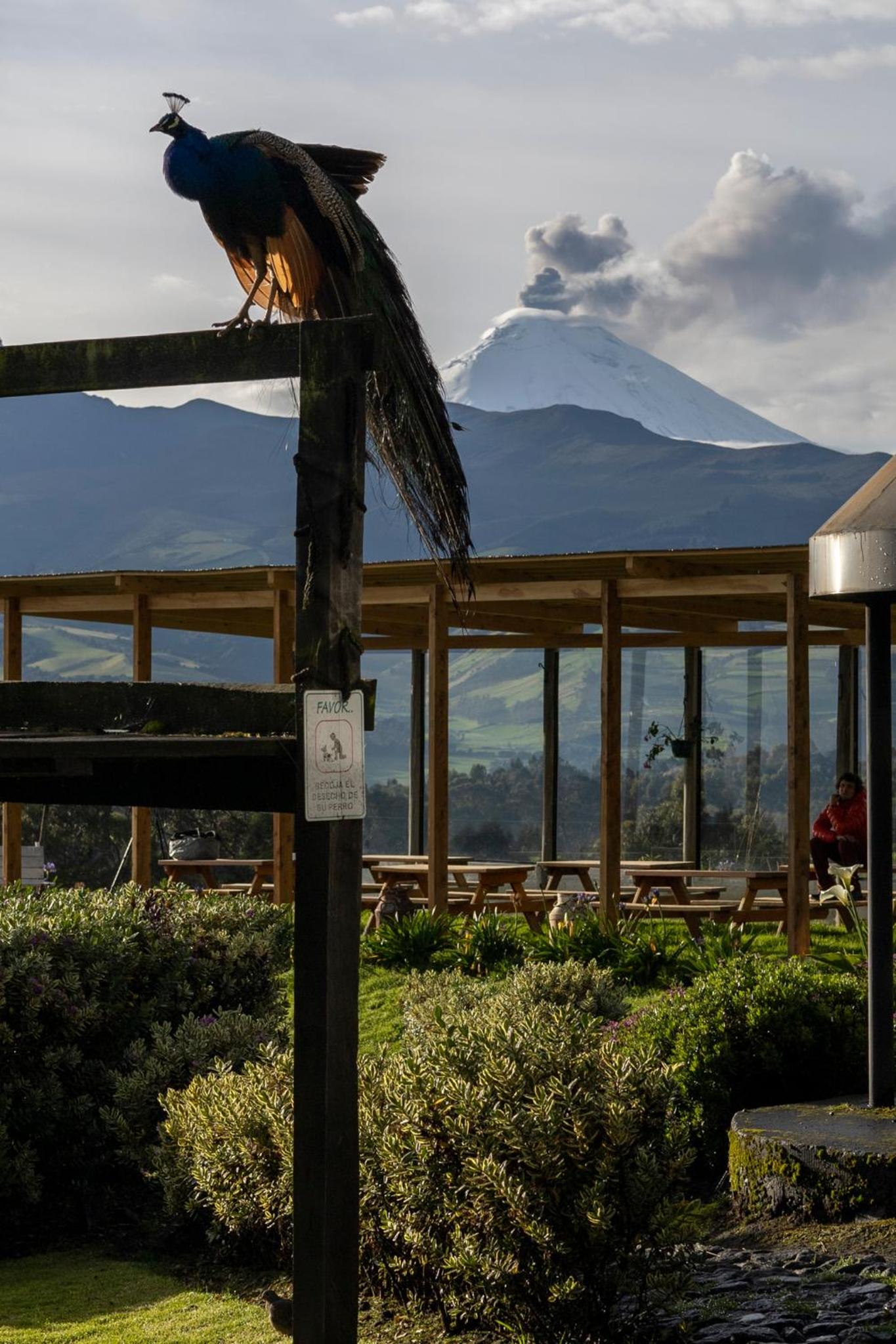 Hacienda El Rejo