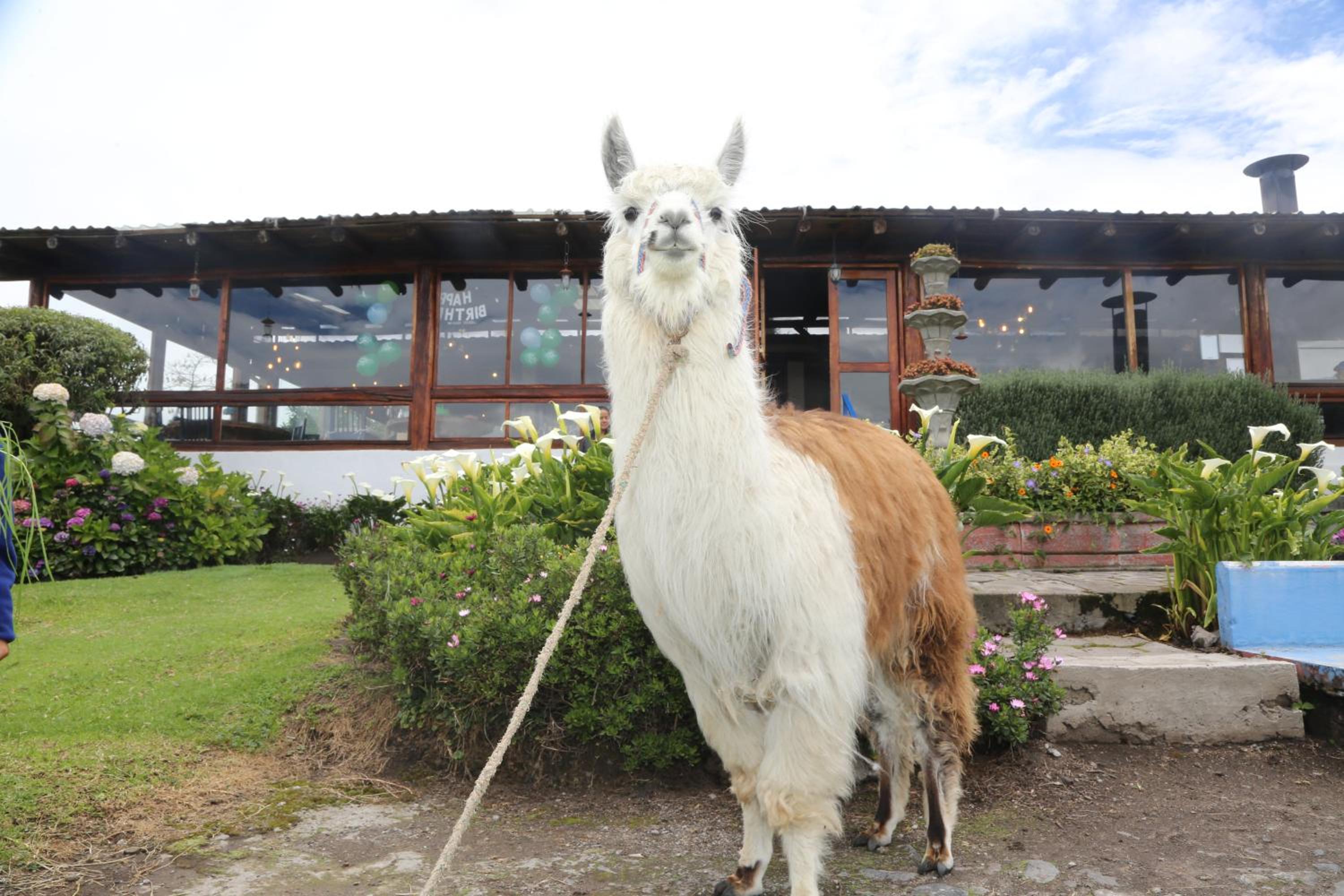 Hacienda El Rejo