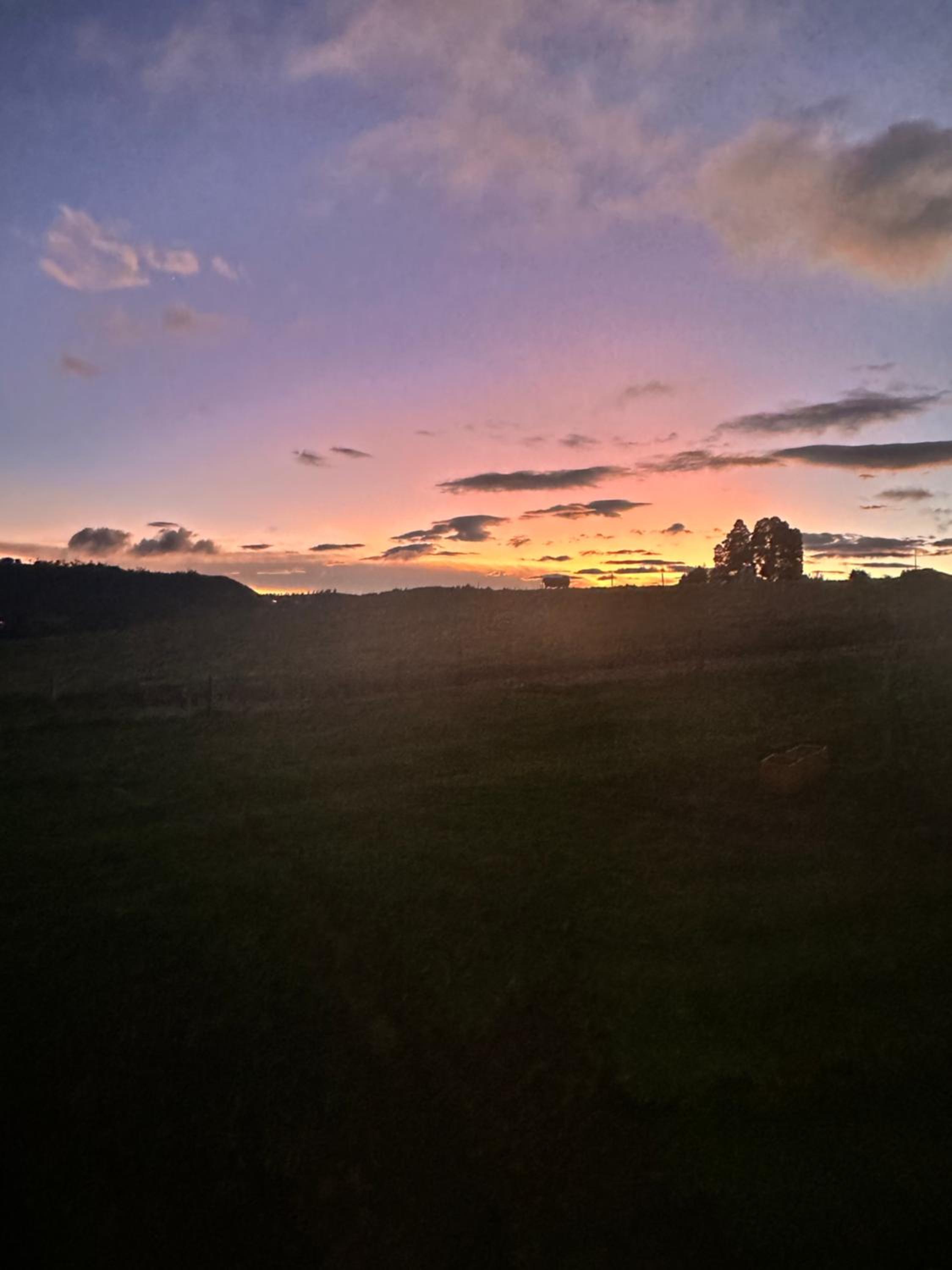 Finca Siberia, Sisga - Property Image 14