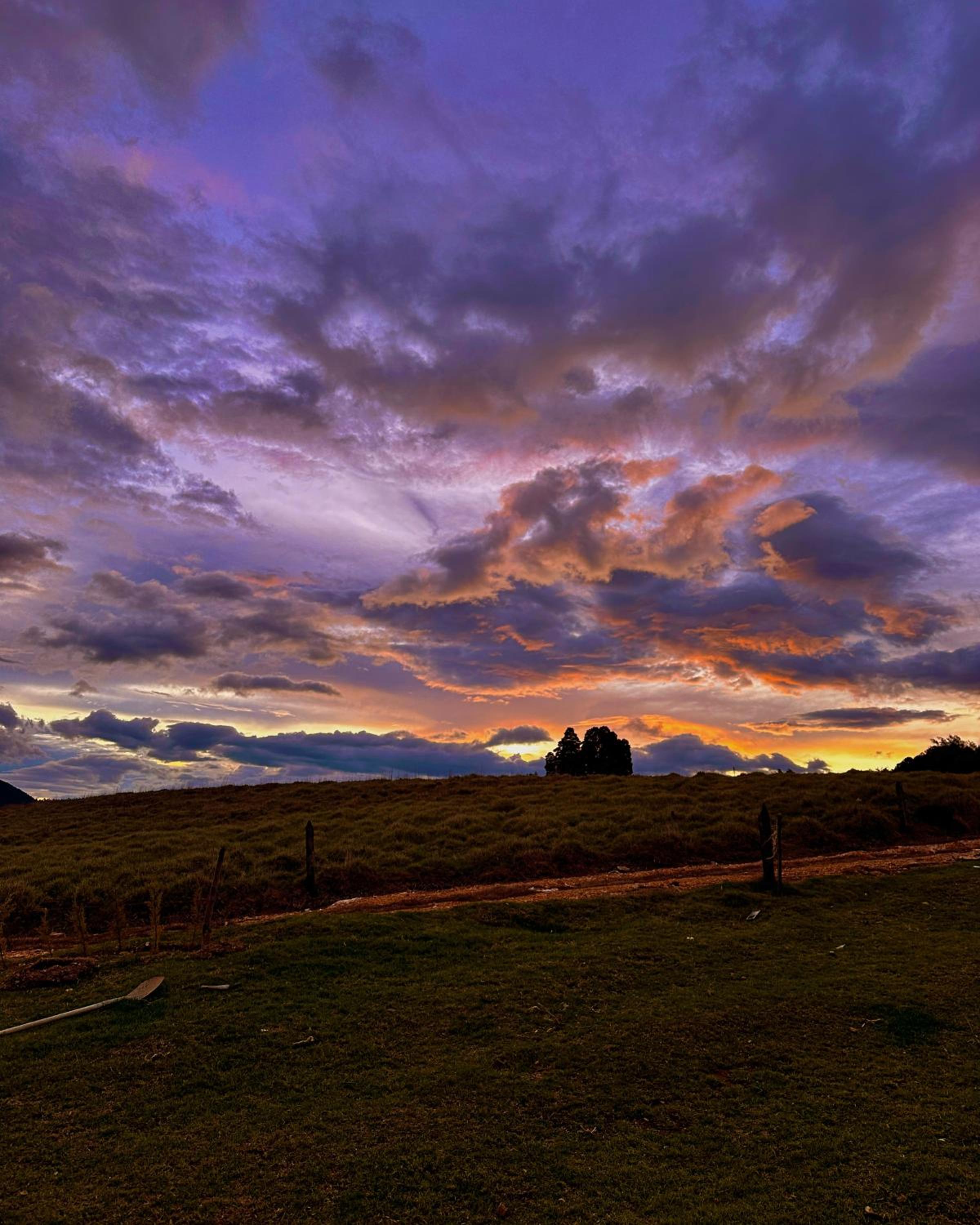 Finca Siberia, Sisga - Property Image 15