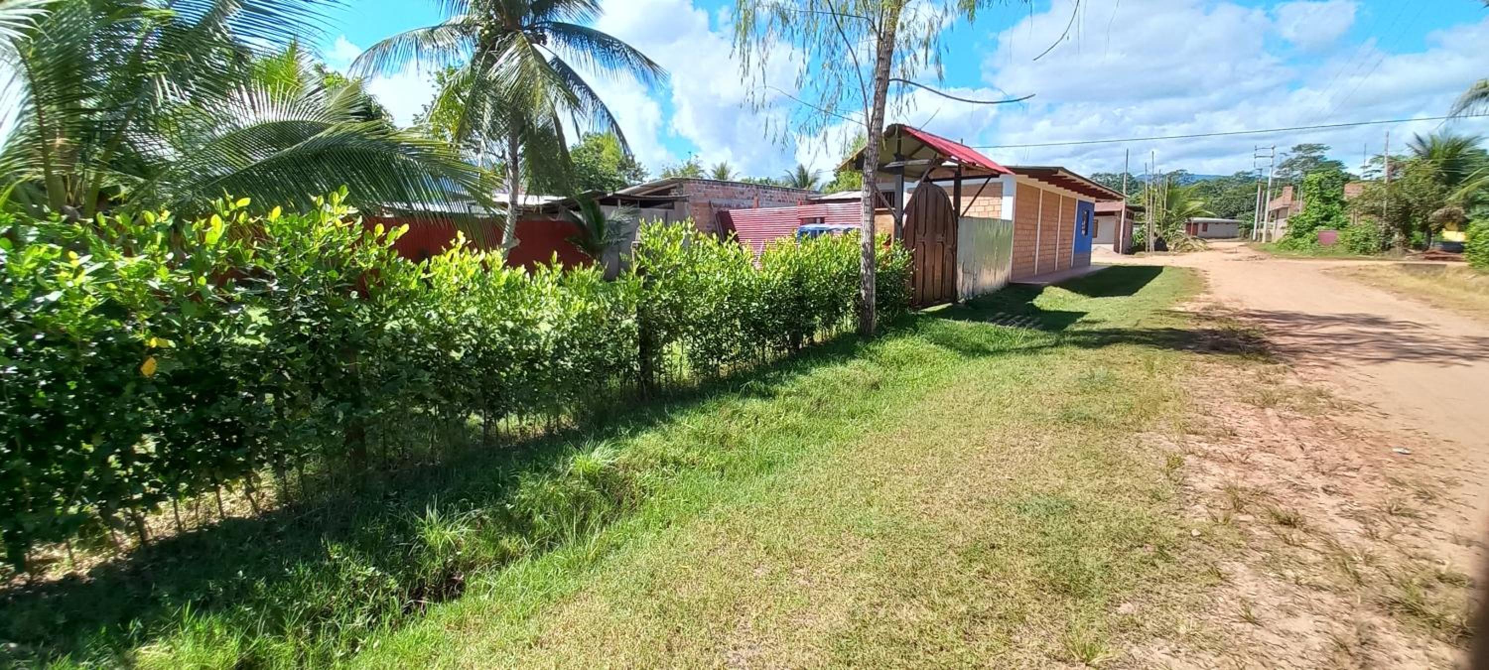 Photo 26