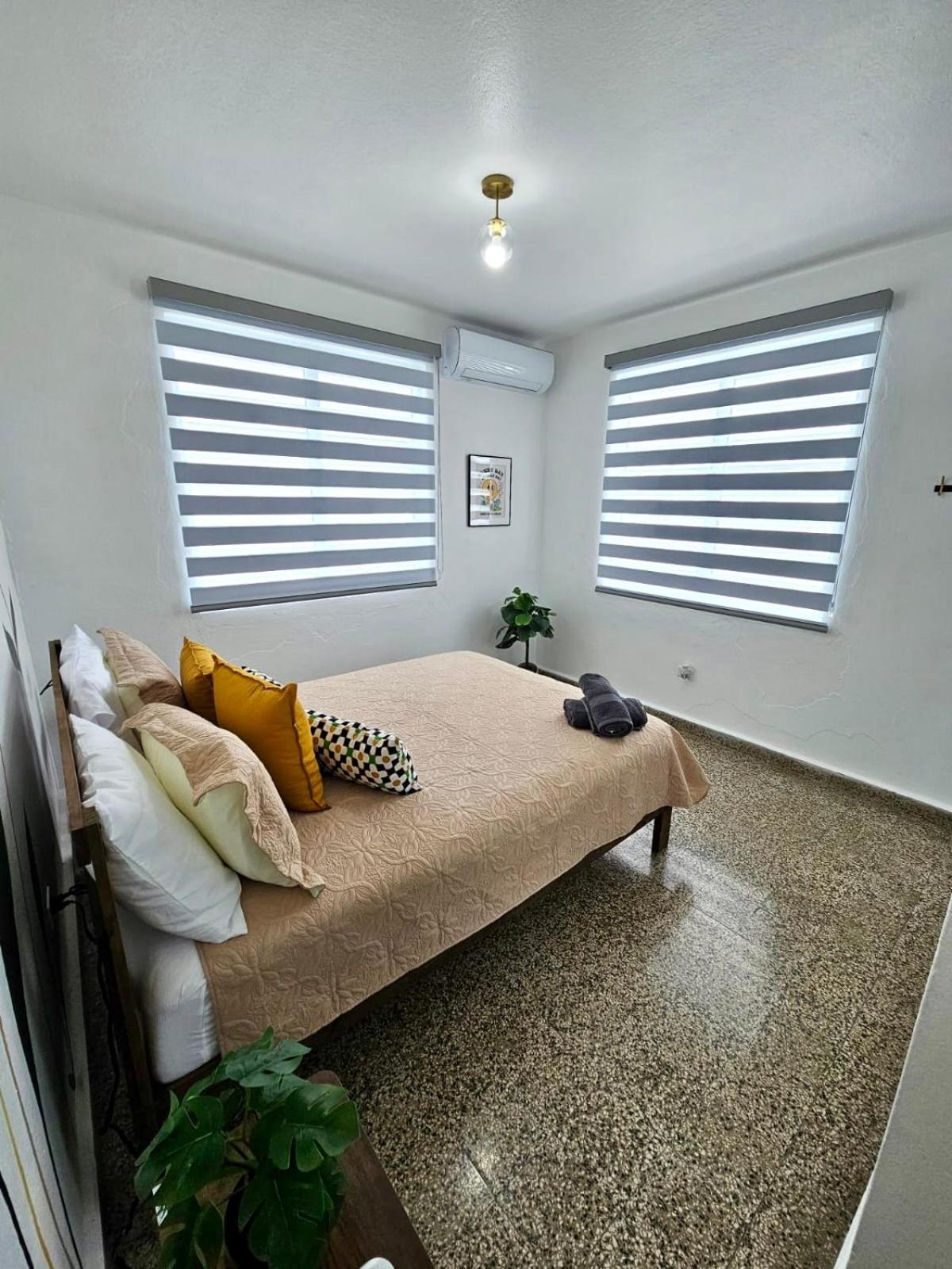Urban Tropical Oasis in San Juan