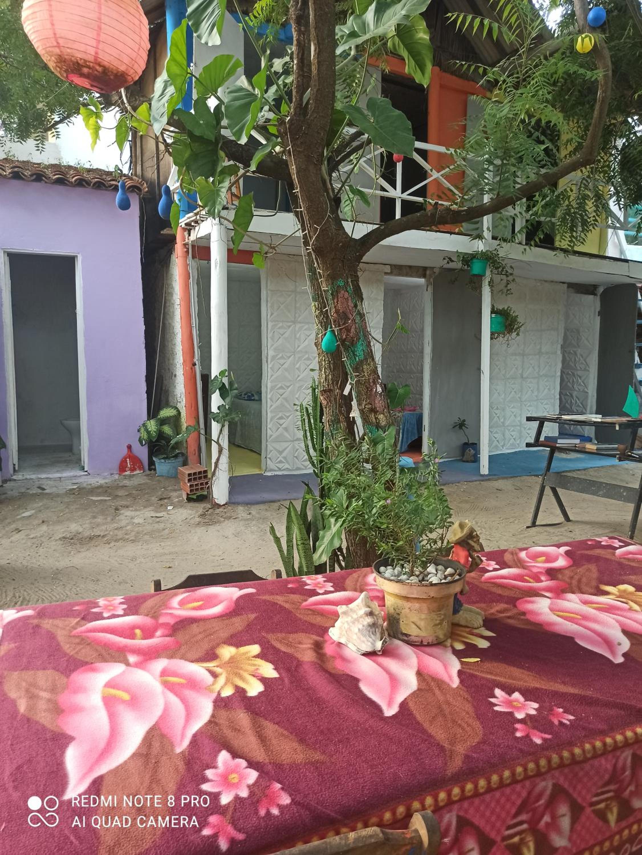 Camping & hostel tô á toa jeri