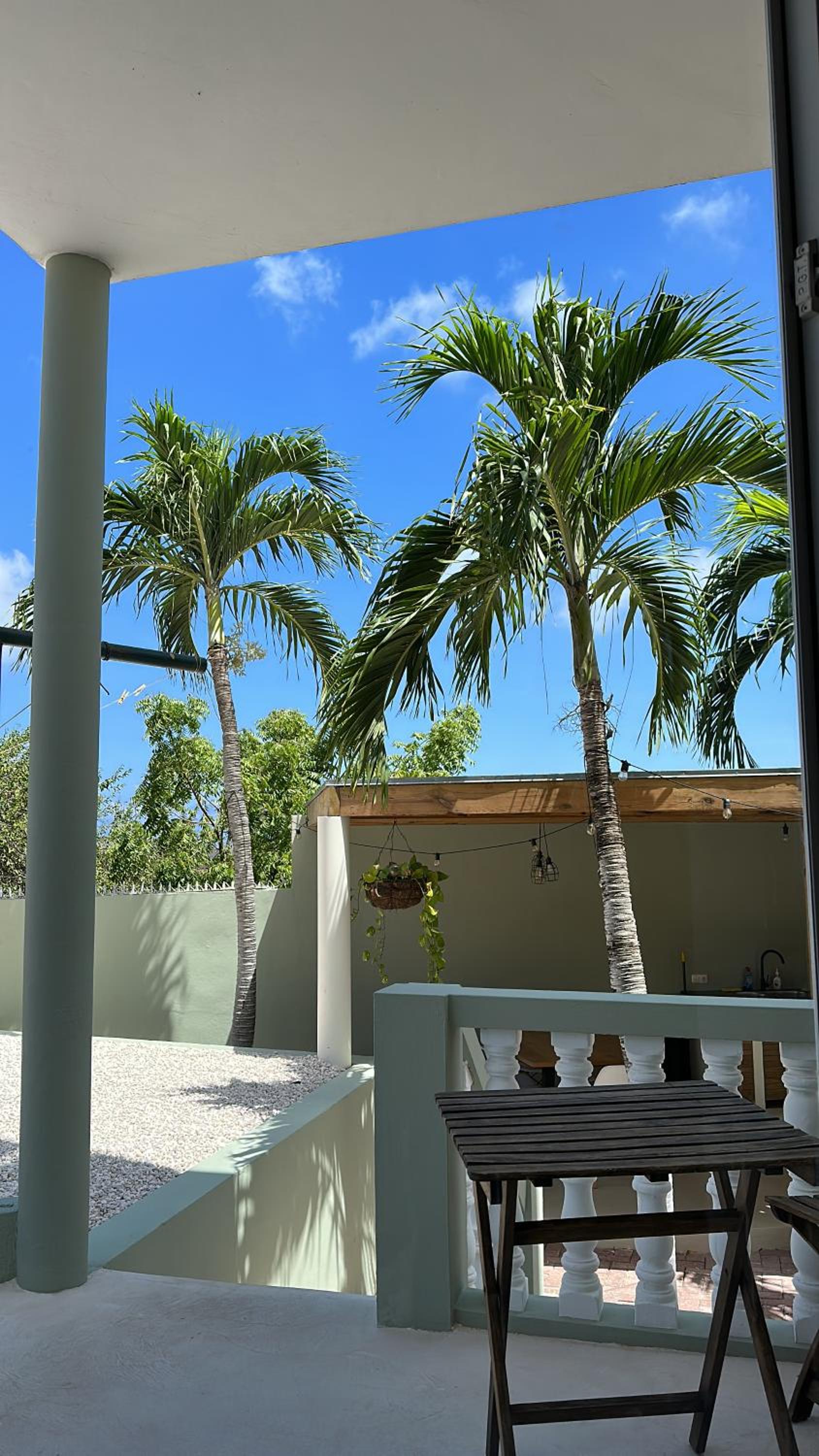 Palm View
