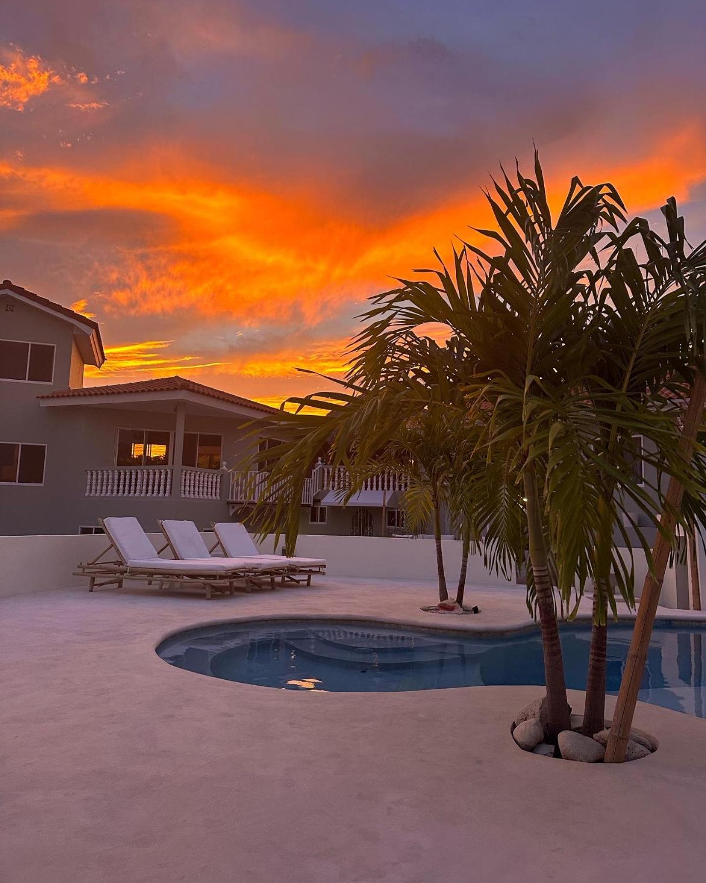 Palm View
