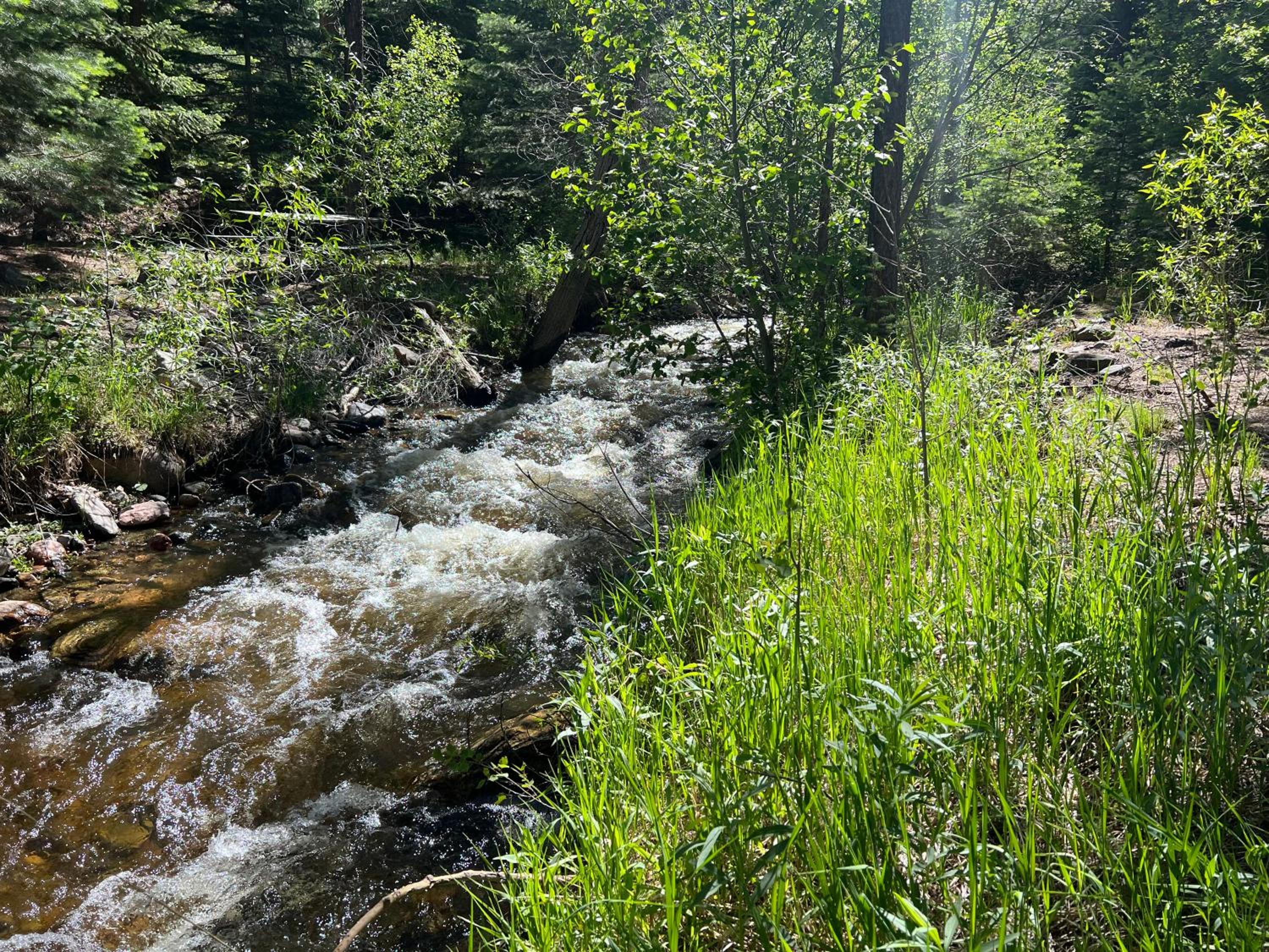 Photo 39