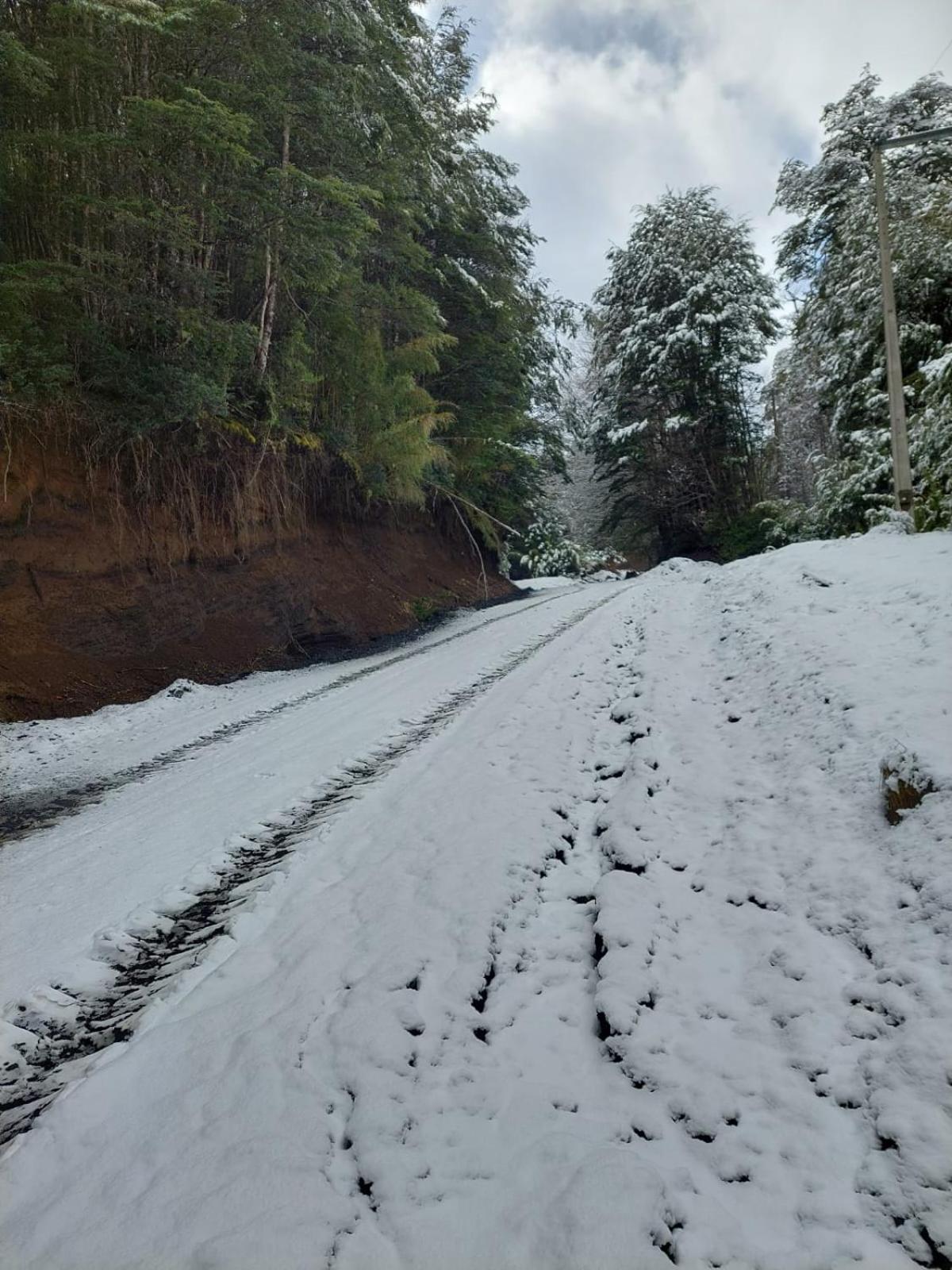 Rincón nevado