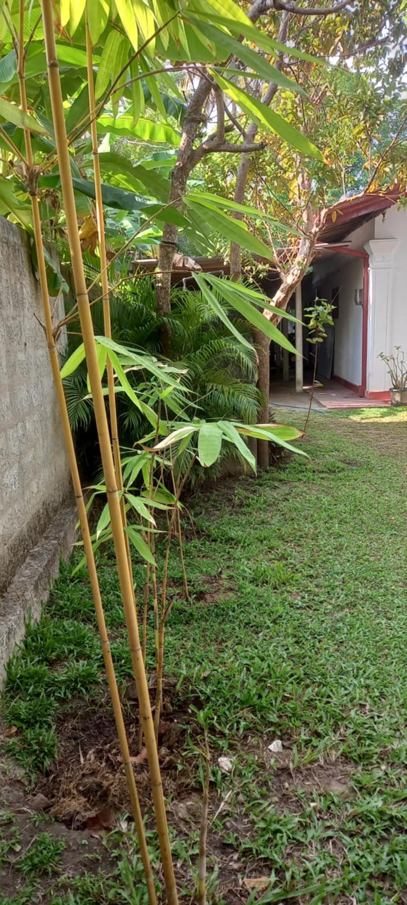 Vibe Ceylon Home Stay view 2
