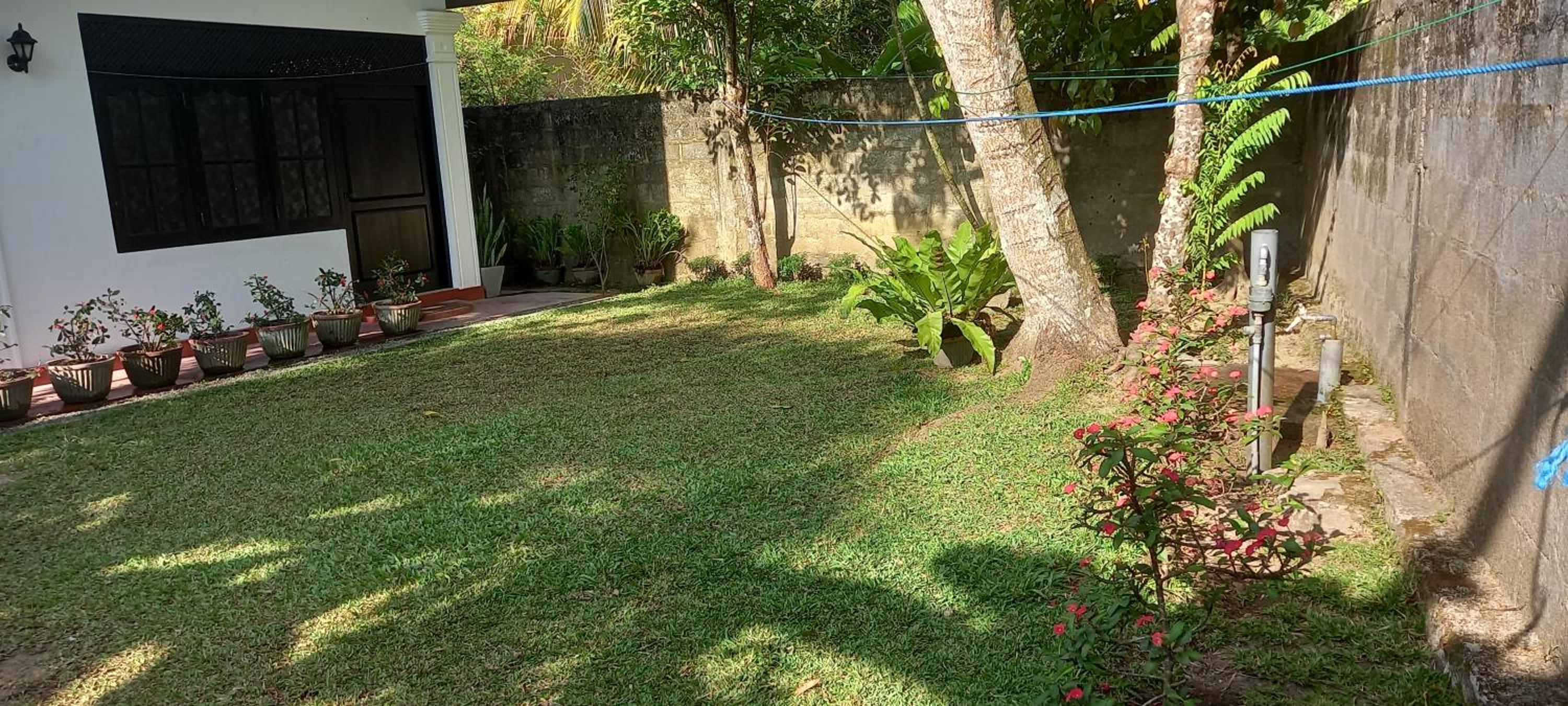 Vibe Ceylon Home Stay view 5
