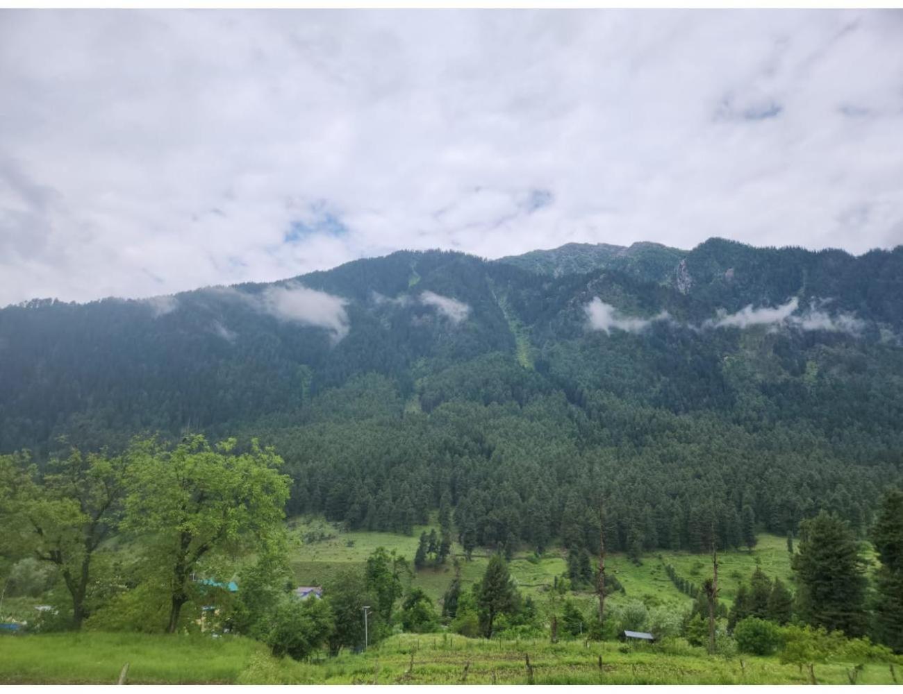 Hotel Royal sultan Resort, Pahalgam view 5