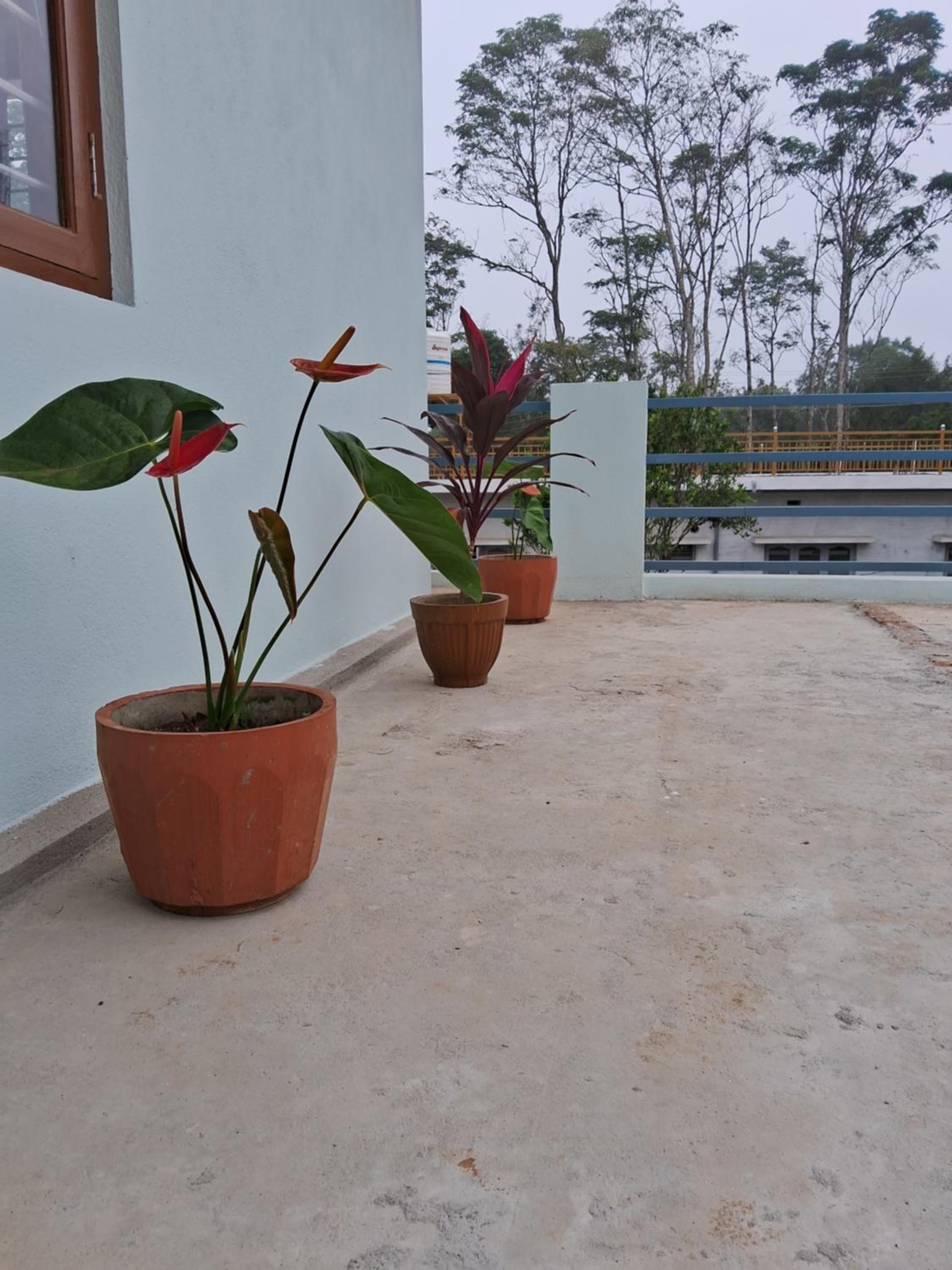 Coorg Teakwood Treasure Homestay view 4