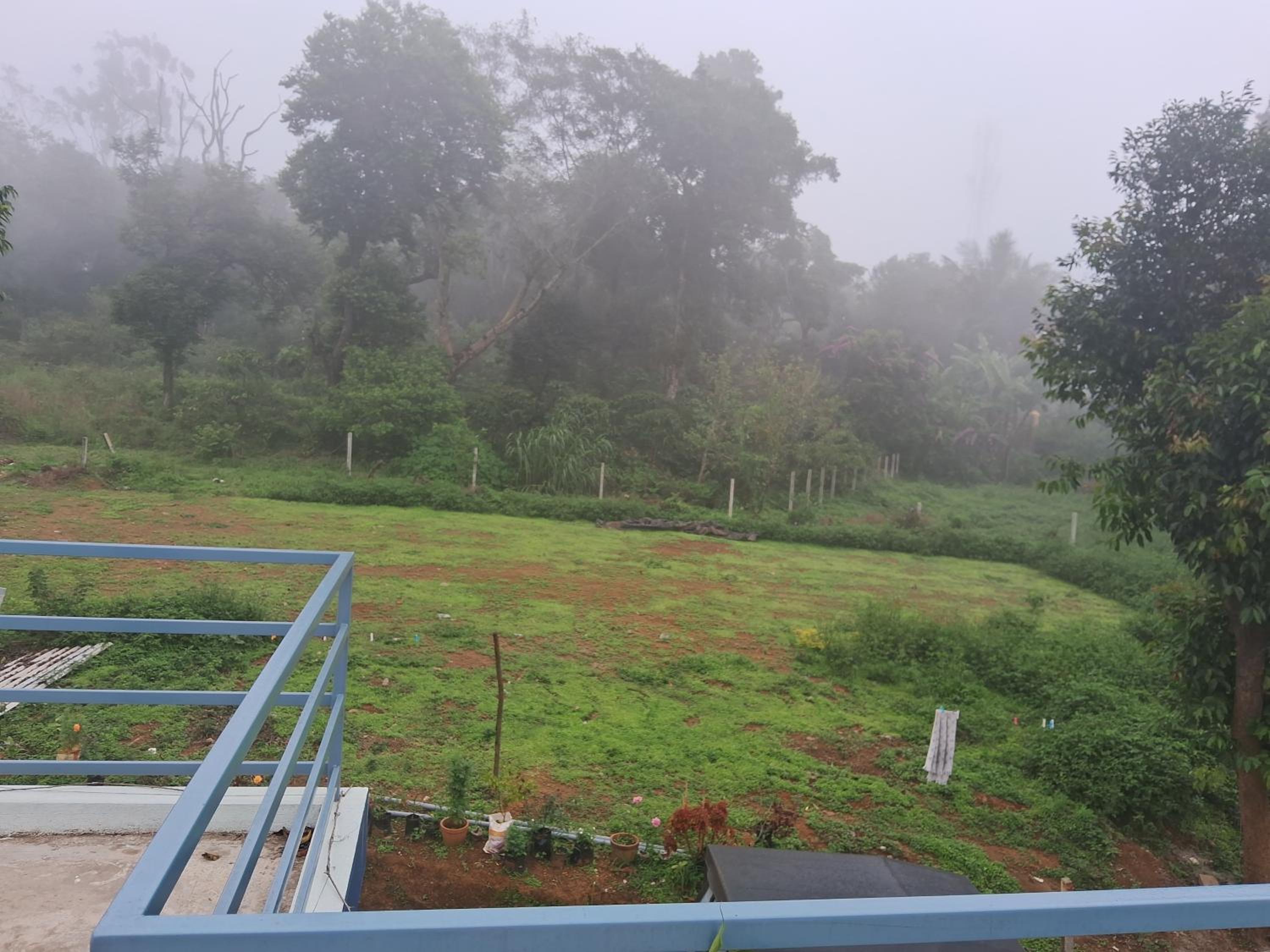 Coorg Teakwood Treasure Homestay view 2