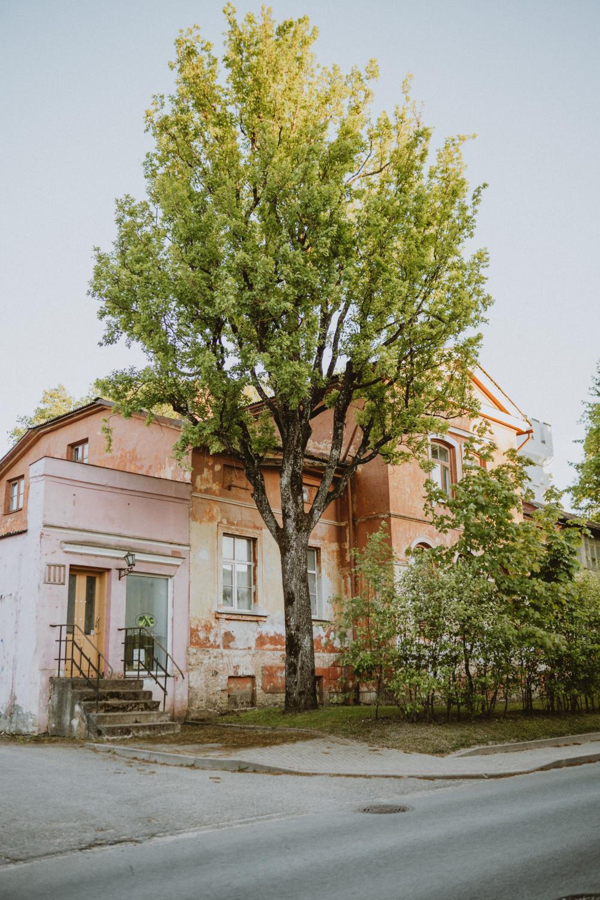 Photo 100