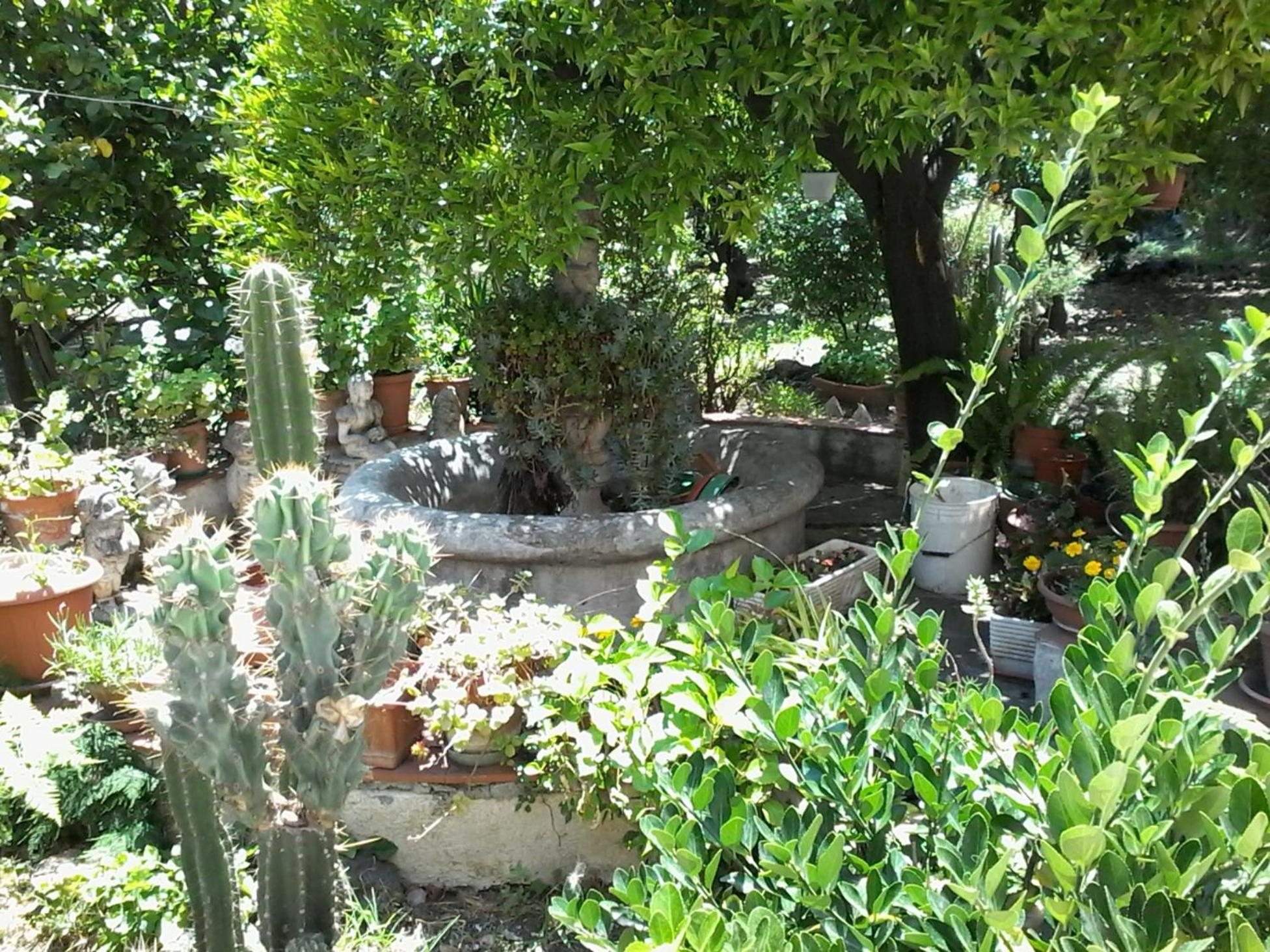 Photo 24