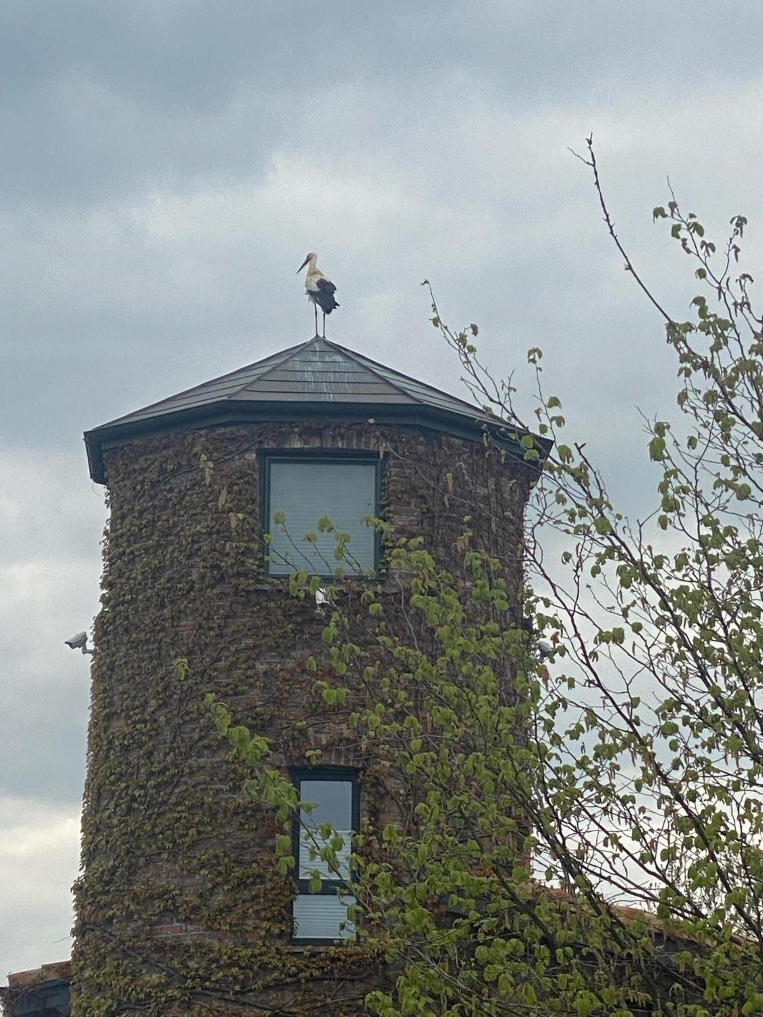 Turm auf altem Bauernhof