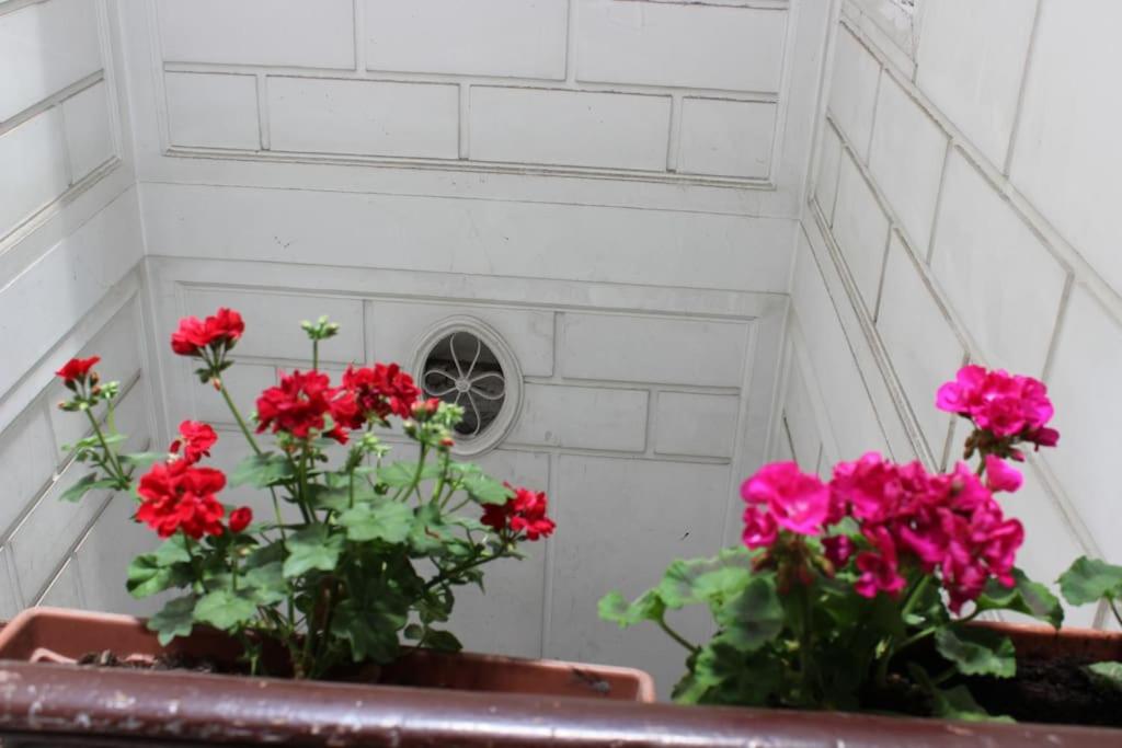 Photo 48