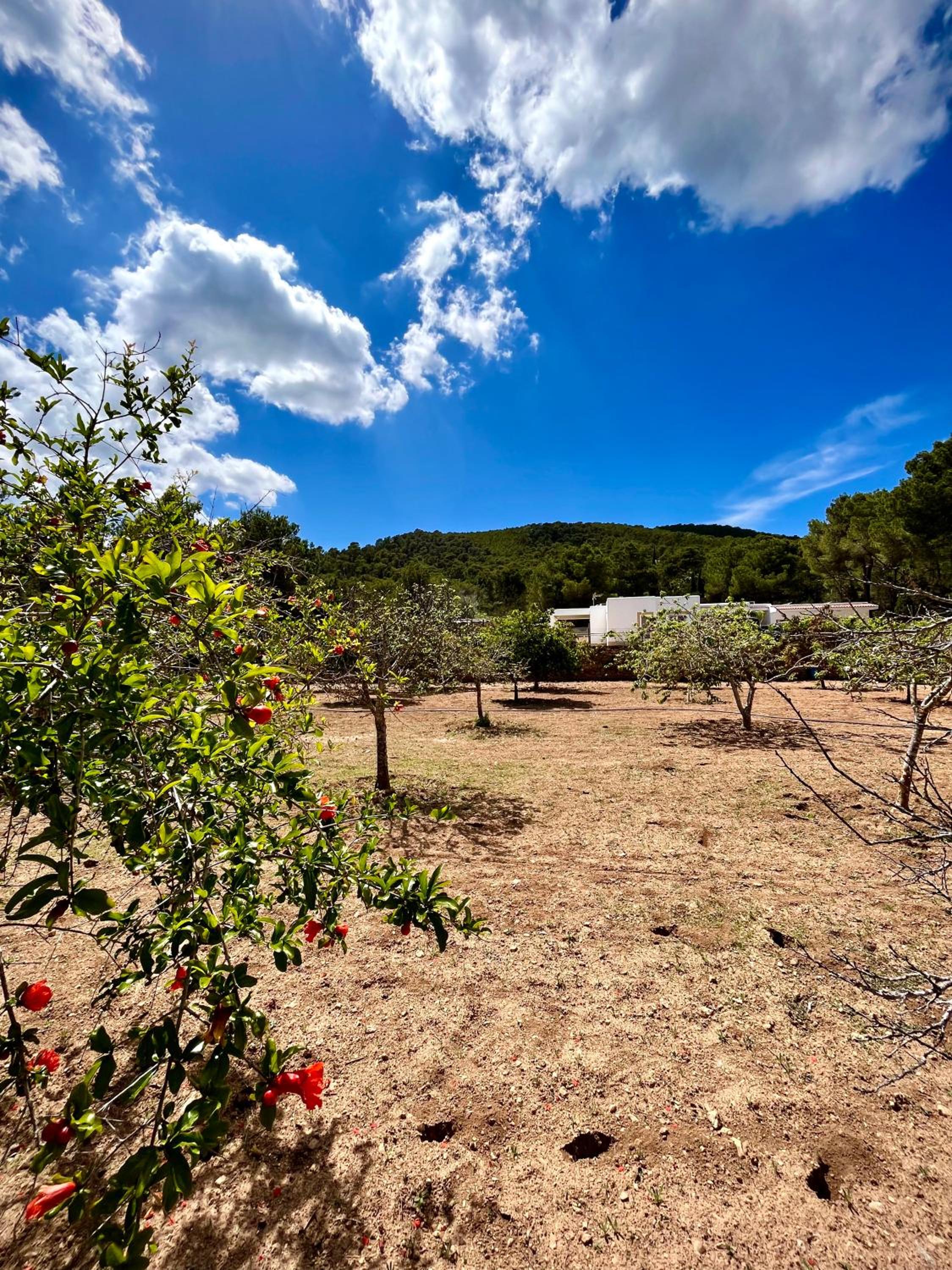 8 Person Ibiza Villa with Private Pool - Walk to Amnesia & UNVRS! - Can Rafa view 4
