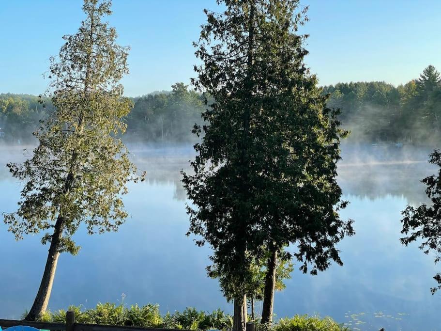 Lake Escape - Waterfront, Hot tub, Sleeps 14