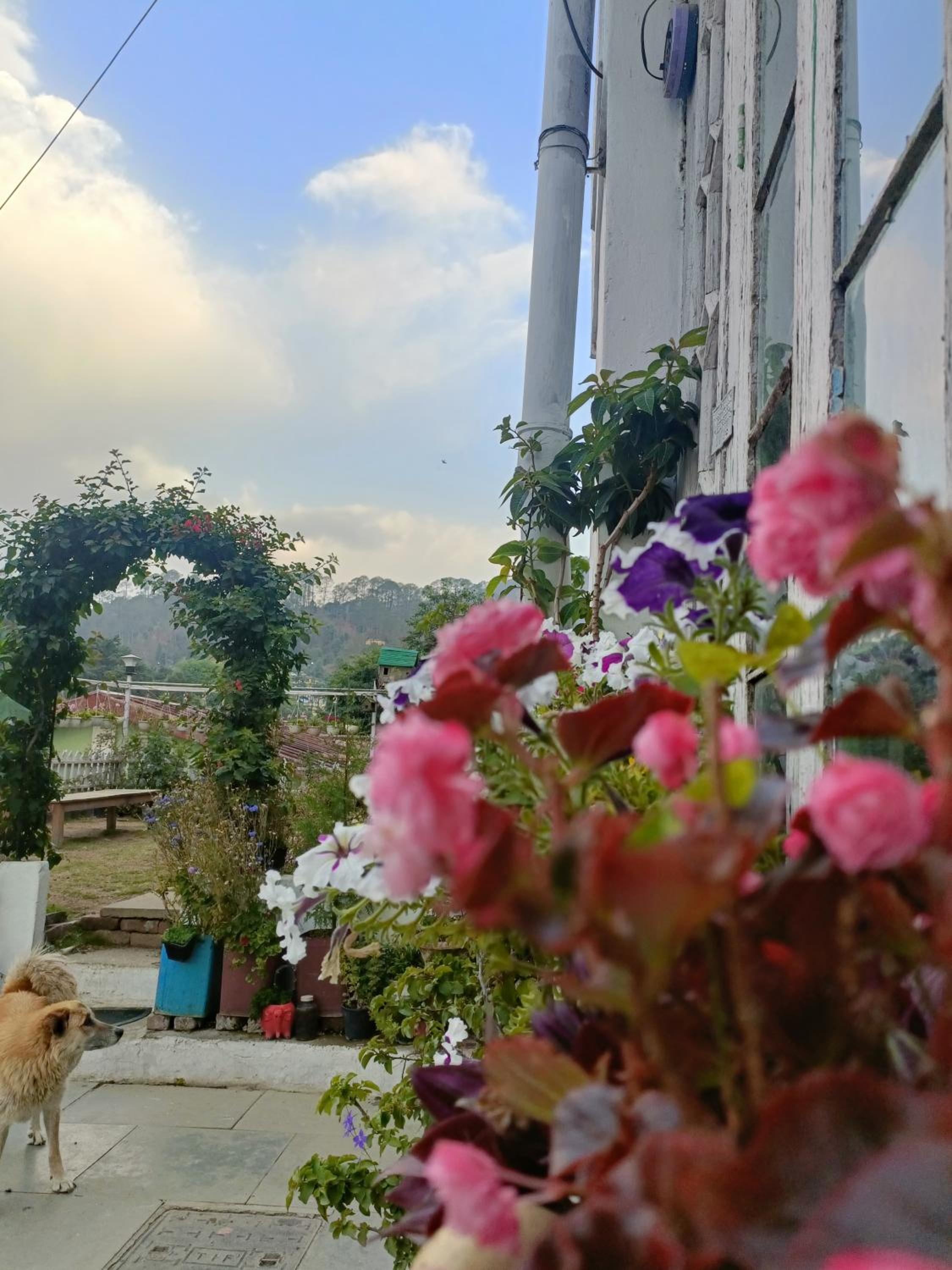 Mohraj home stay view 2