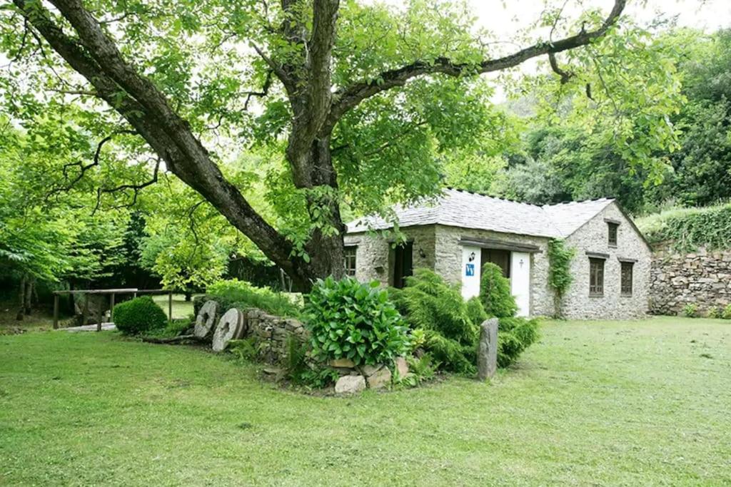 Stunning restored mill Boimouro