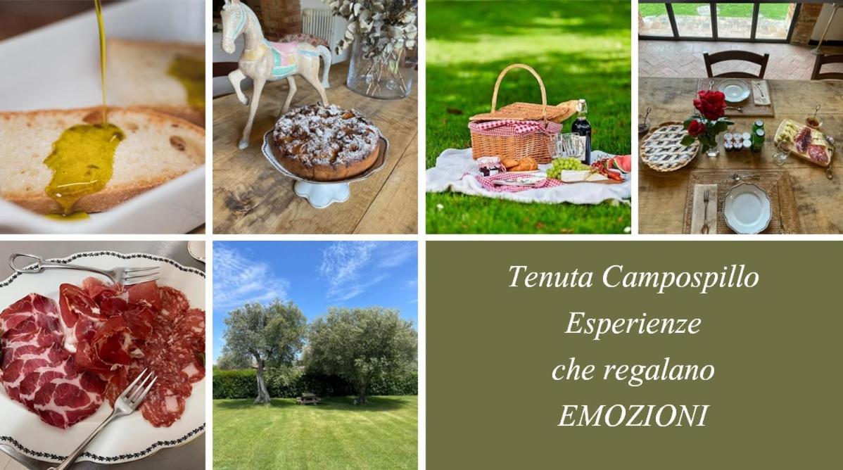 Tenuta Campospillo