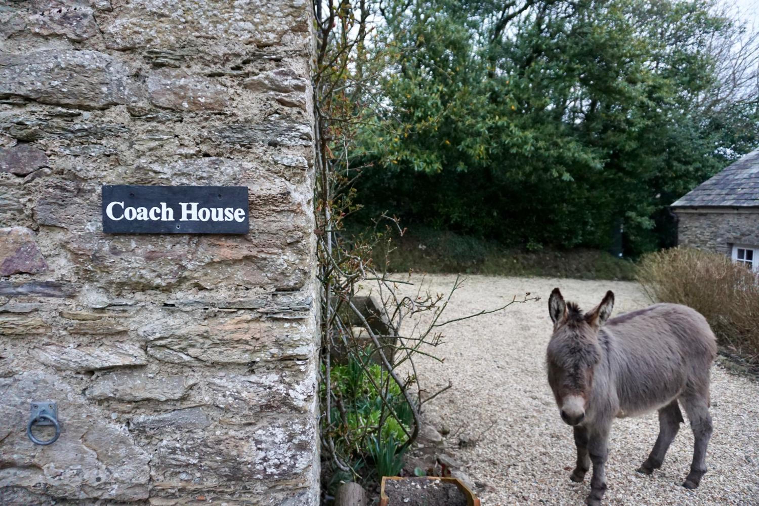 Beachborough Country House