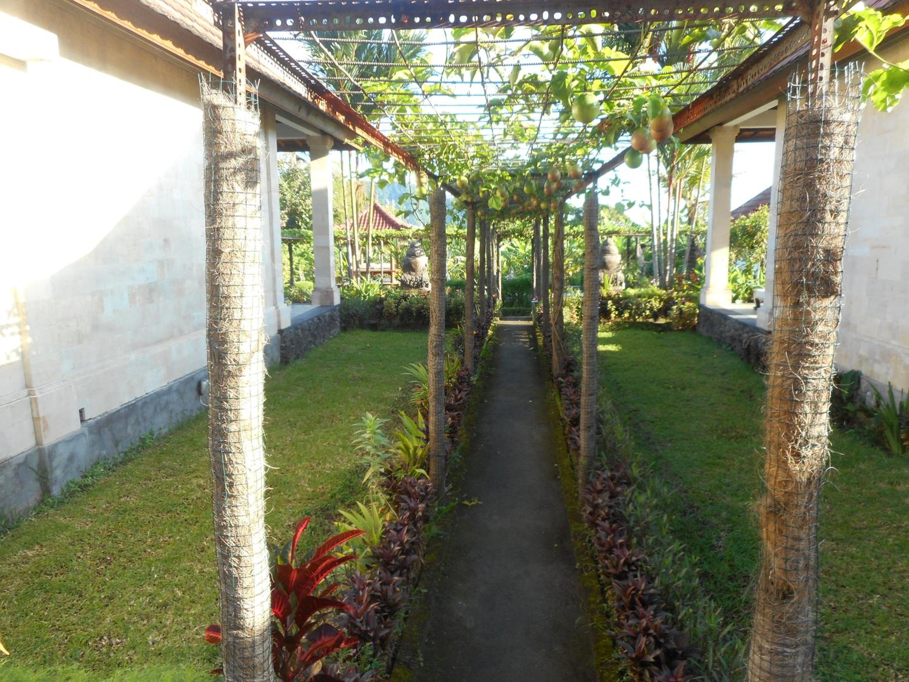 Photo 45