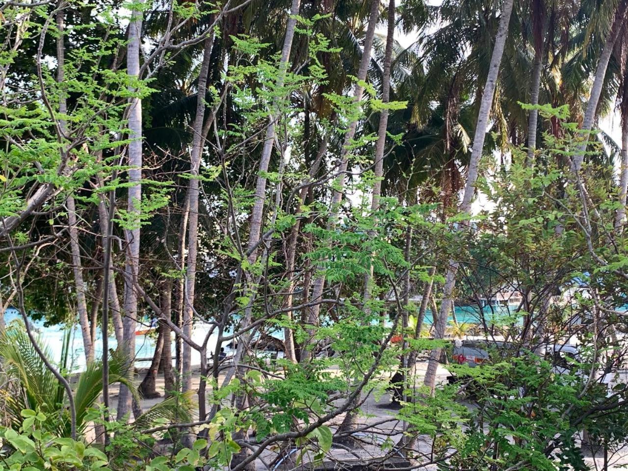 Photo 25