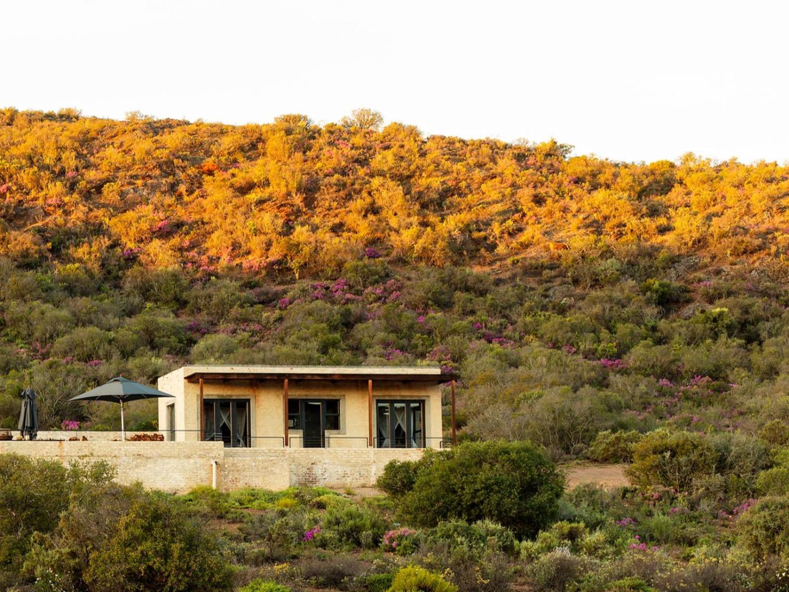 Karoo 62 Escapes view 2