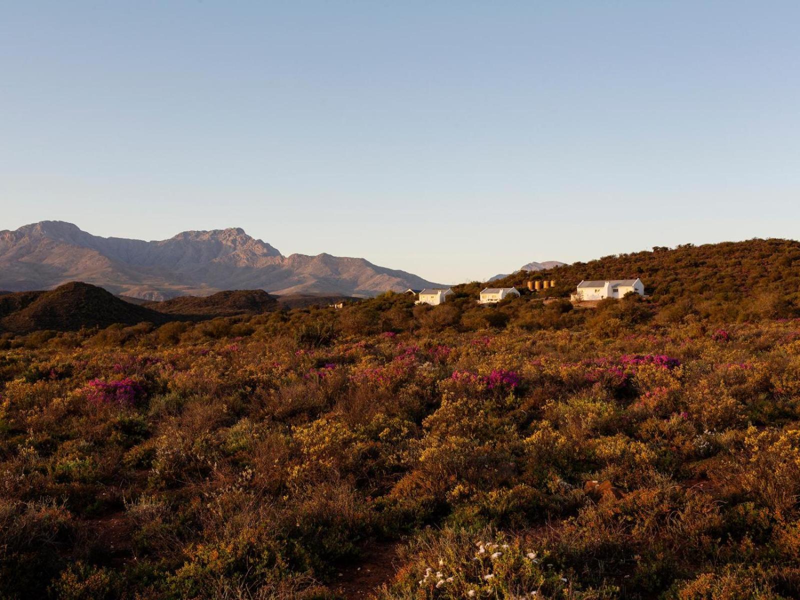 Karoo 62 Escapes view 5